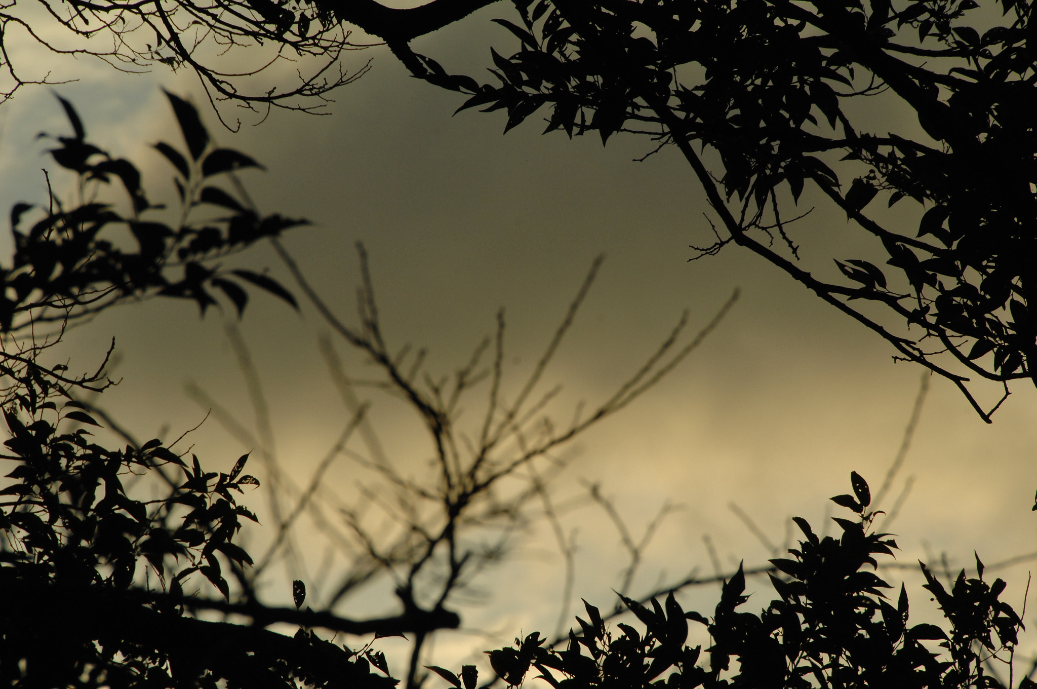 Nikon D2X sample photo. .. photography
