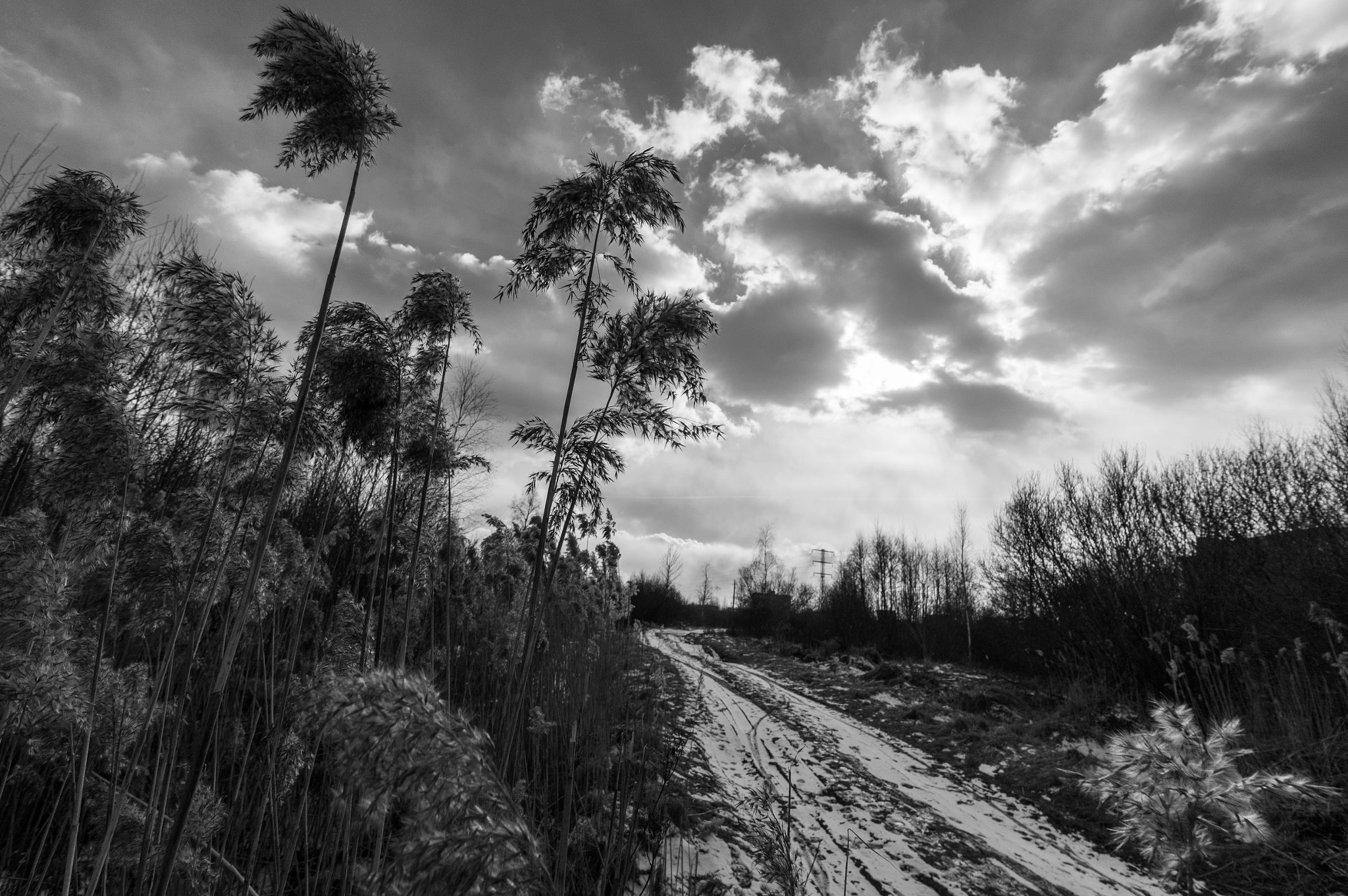 Sony Alpha NEX-5N + Sony E 10-18mm F4 OSS sample photo. Road with a cane. photography