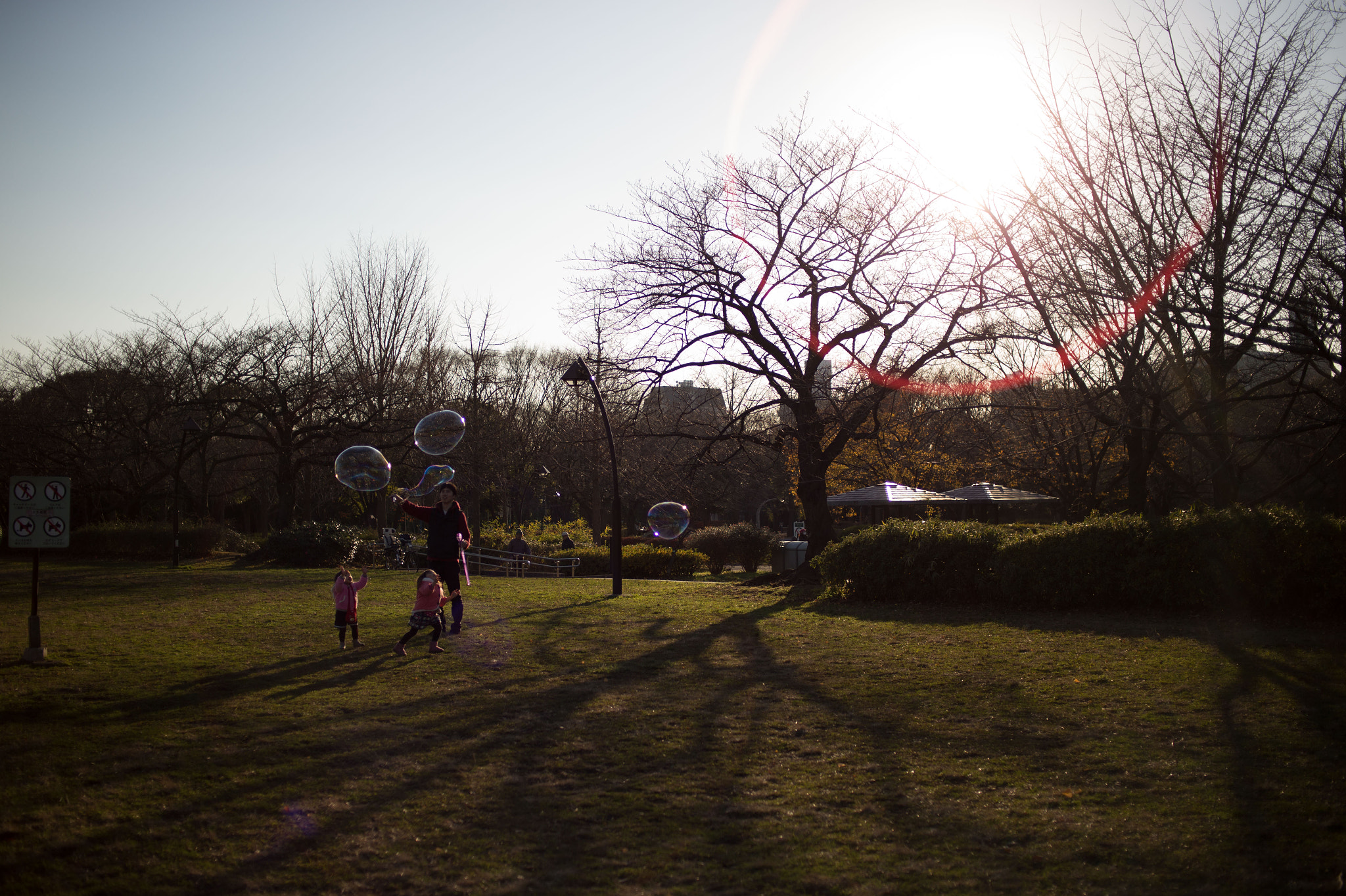 Voigtlander Ultron 40mm f/2 SLII Aspherical sample photo. 休日の公園 photography