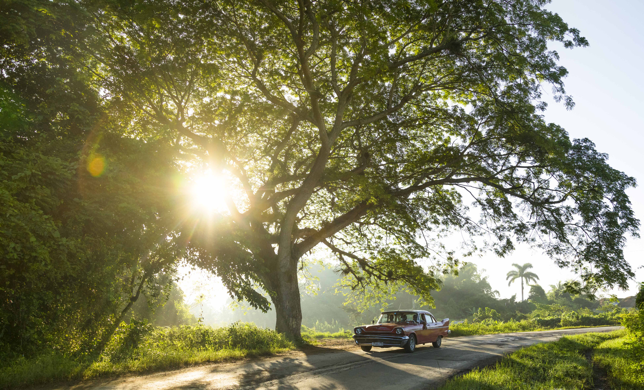 Sony a7R + Canon EF 24-105mm F4L IS USM sample photo. Vinales morning photography