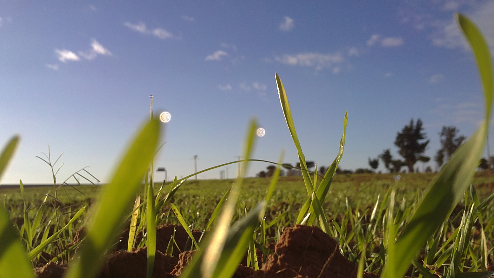 Sony Ericsson U5i sample photo. Nature.jpg photography
