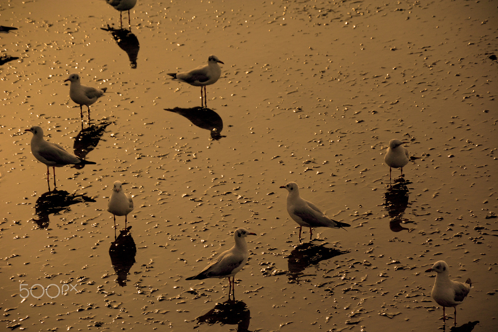 AF Zoom-Nikkor 35-80mm f/4-5.6D N sample photo. ... photography