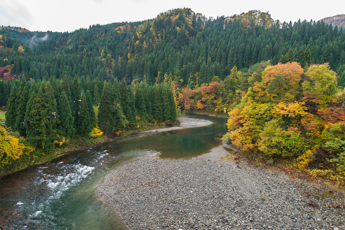 Sony a7 + Canon EF 85mm F1.2L II USM sample photo. 秋の景色. photography