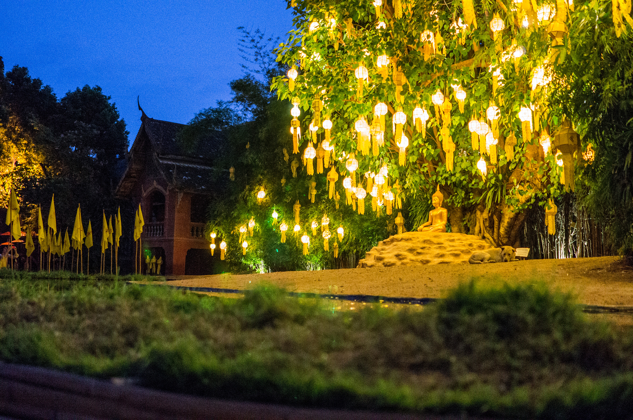 Sony Alpha NEX-6 + Minolta AF 28mm F2 sample photo. Buddha surrounded by lanterns photography