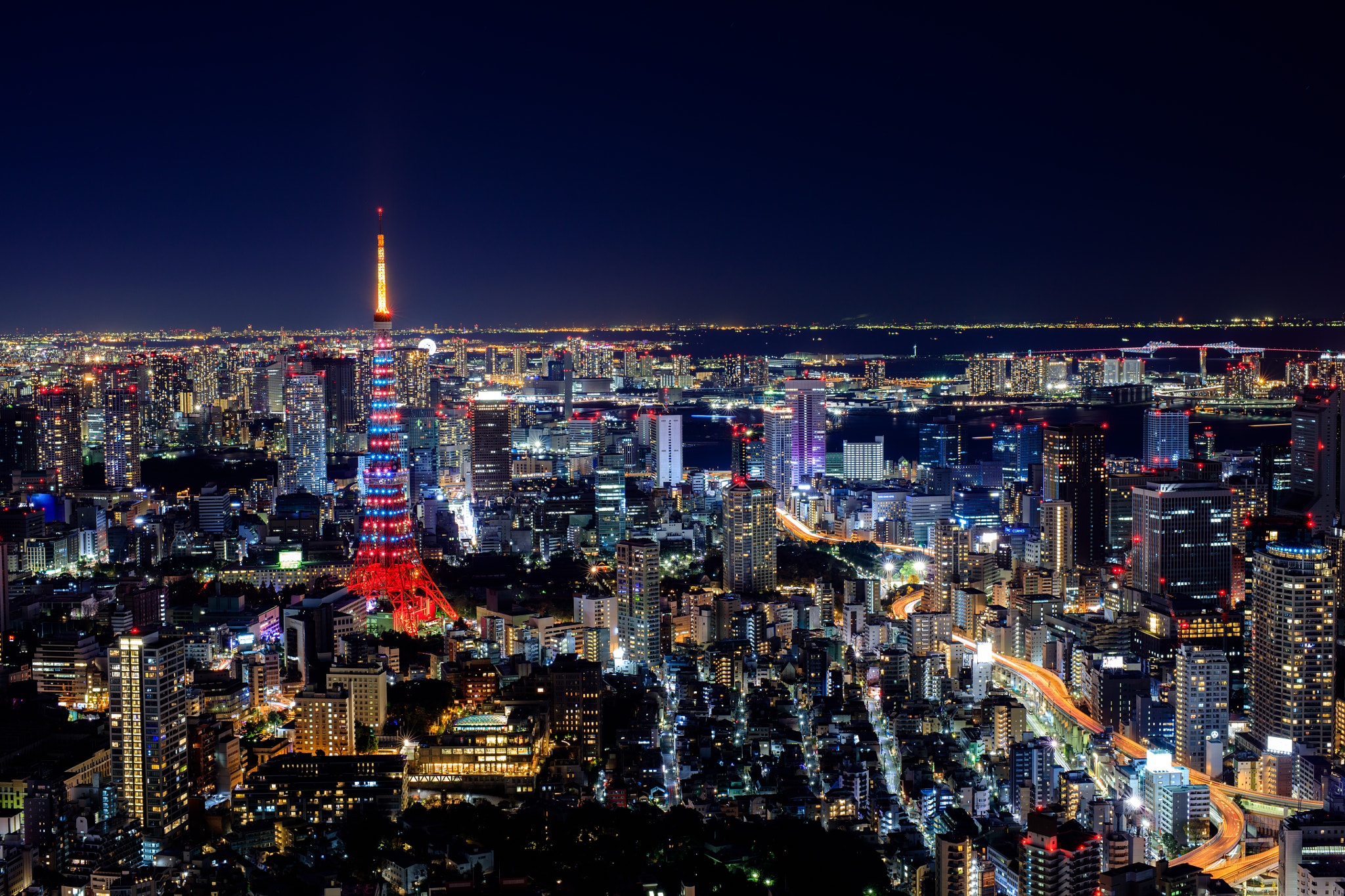 Canon EOS 5DS + ZEISS Milvus 50mm F1.4 sample photo. Tokyotower photography