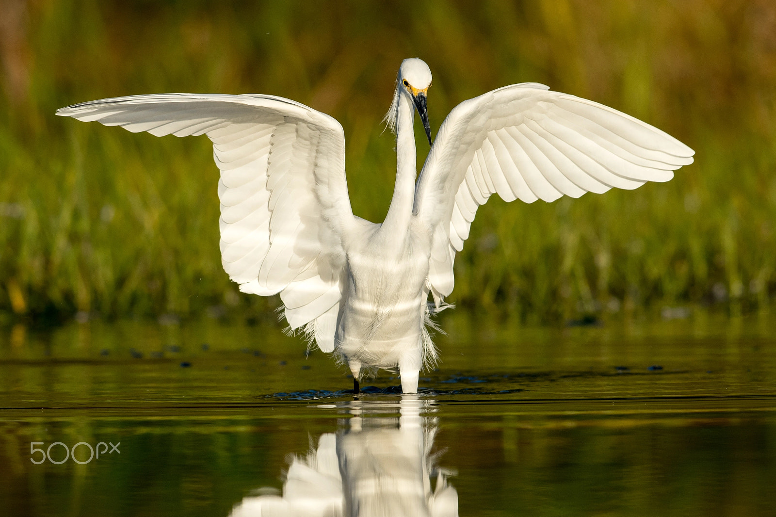 Nikon AF-S Nikkor 300mm F2.8G ED VR II sample photo. Angel auditions photography