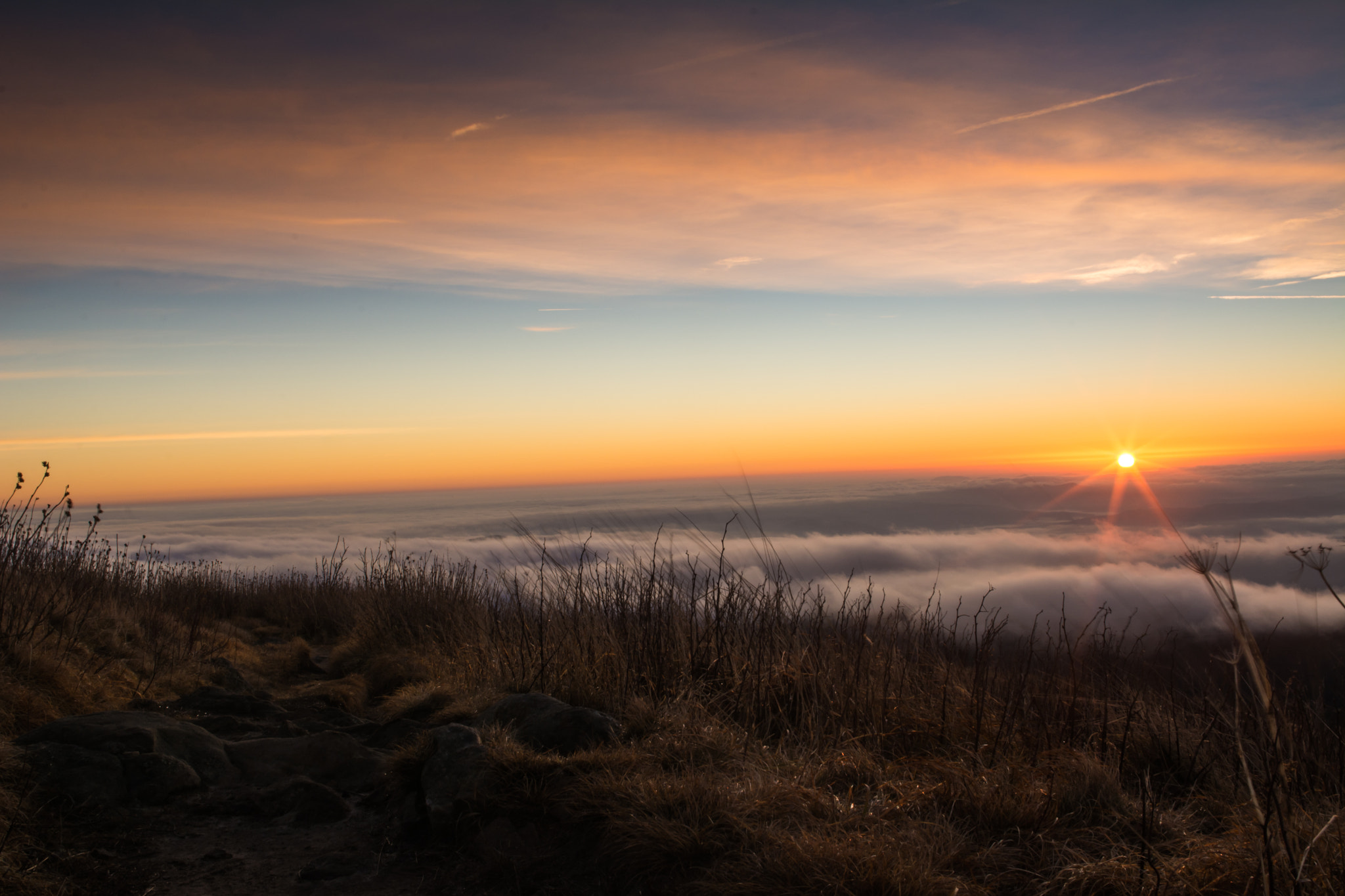 Nikon D7100 + Samyang 12mm F2.8 ED AS NCS Fisheye sample photo. Black friday sunrise on black balsam photography