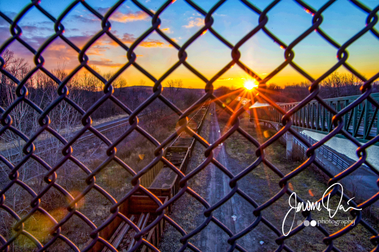Sigma 24-105mm f/4 DG OS HSM | A sample photo. Behind the yard photography