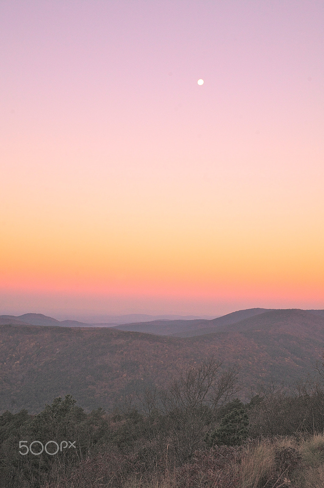 Canon EOS 5D + Sigma 24-70mm F2.8 EX DG Macro sample photo. Sunrise on talimina drive with moon photography