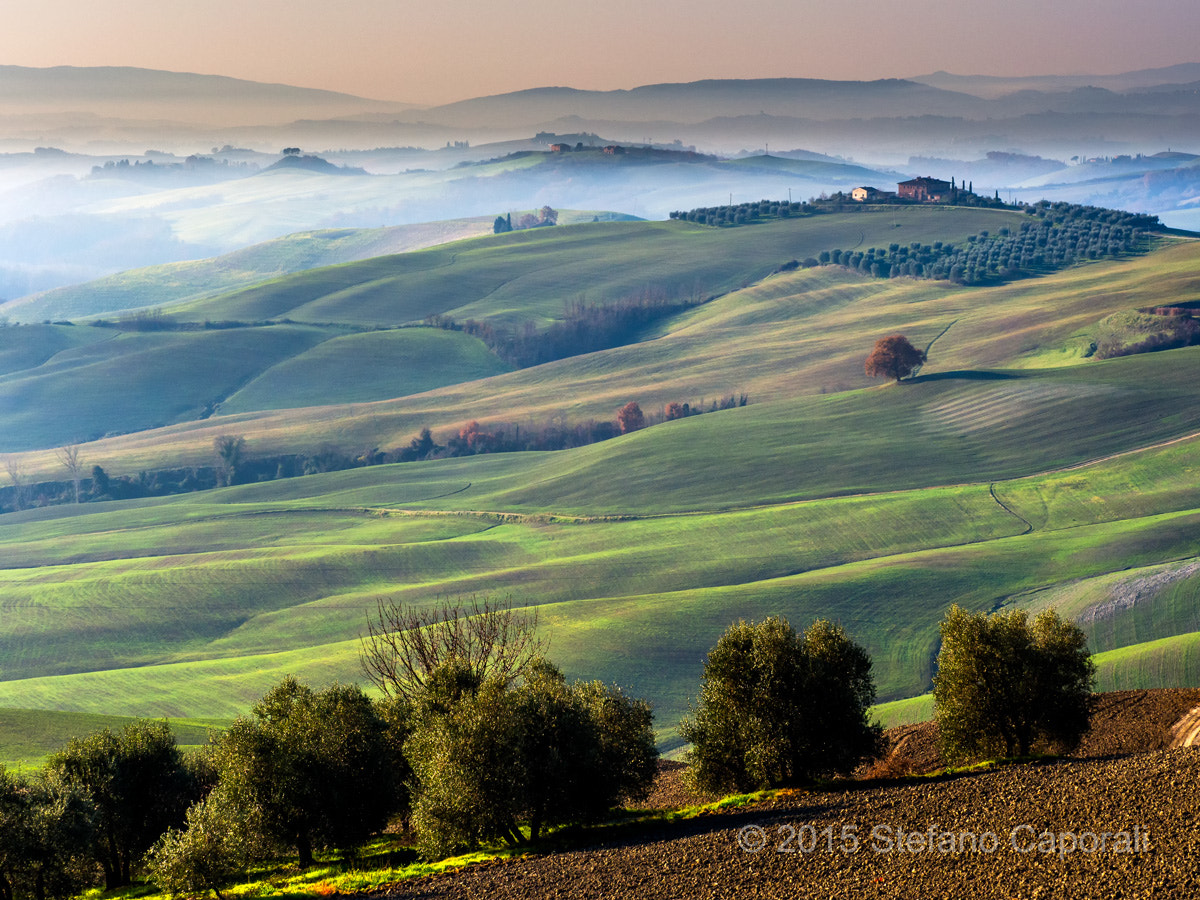 Olympus OM-D E-M10 II + Olympus M.Zuiko Digital ED 40-150mm F2.8 Pro sample photo. Crete senesi, tuscany photography