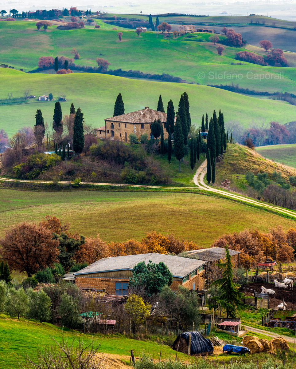 Olympus OM-D E-M10 II + Olympus M.Zuiko Digital ED 40-150mm F2.8 Pro sample photo. Tuscany countryside, val d'orcia photography