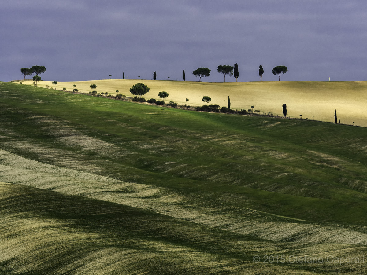 Olympus OM-D E-M10 II + Olympus M.Zuiko Digital ED 40-150mm F2.8 Pro sample photo. Tuscany countryside, val d'orcia photography