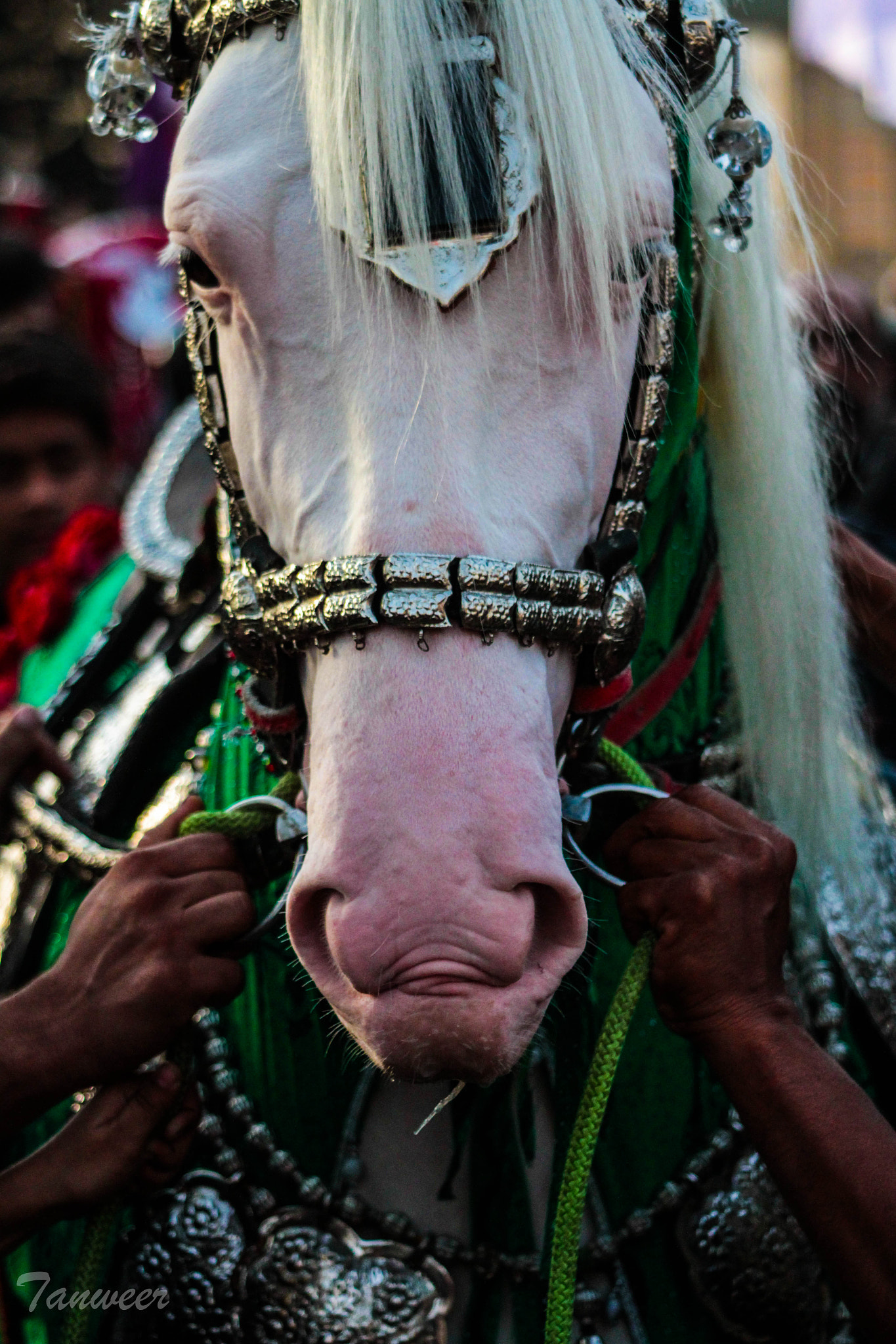Canon EF 80-200mm F4.5-5.6 II sample photo. Moharram procession photography