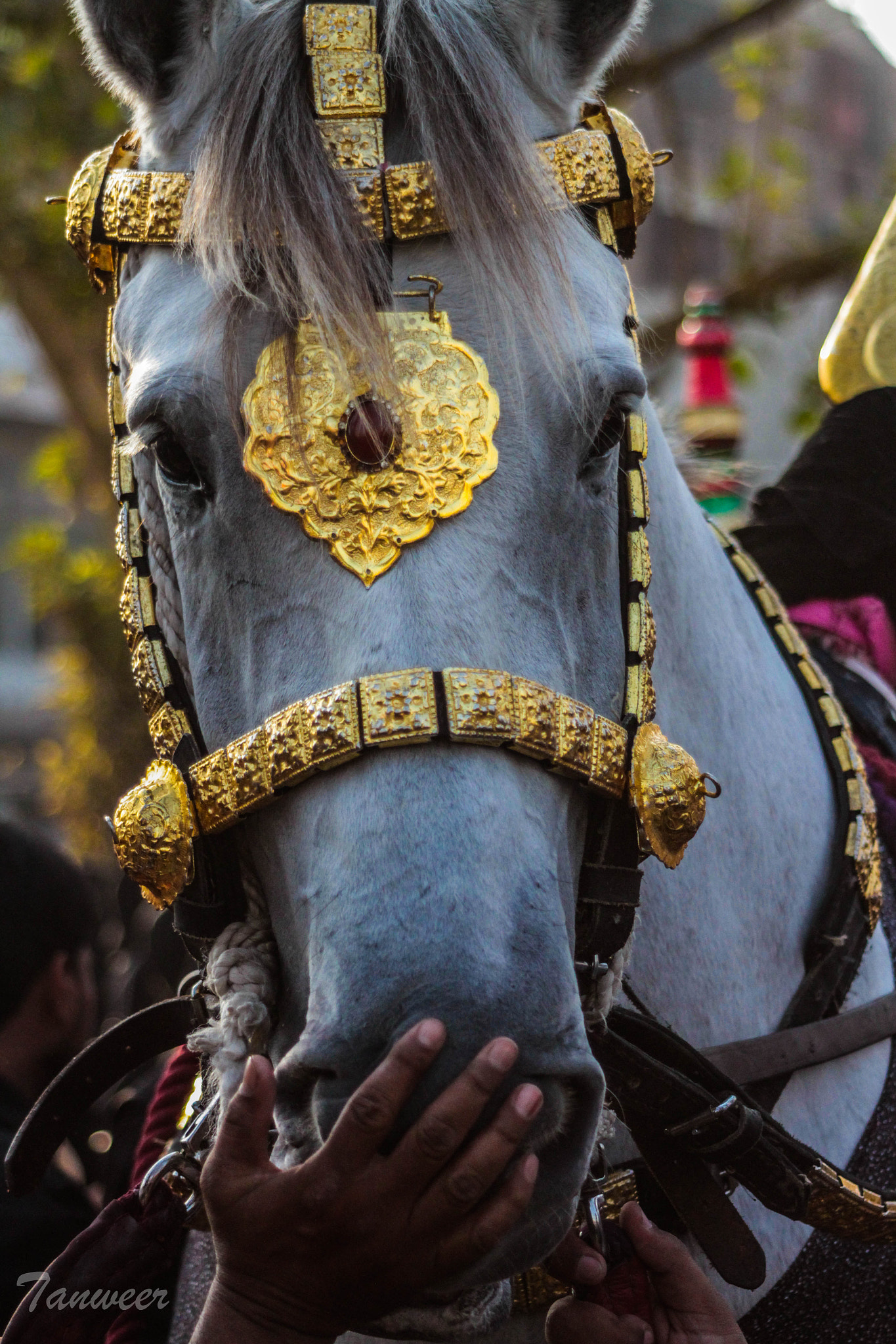 Canon EF 80-200mm F4.5-5.6 II sample photo. Moharram procession photography