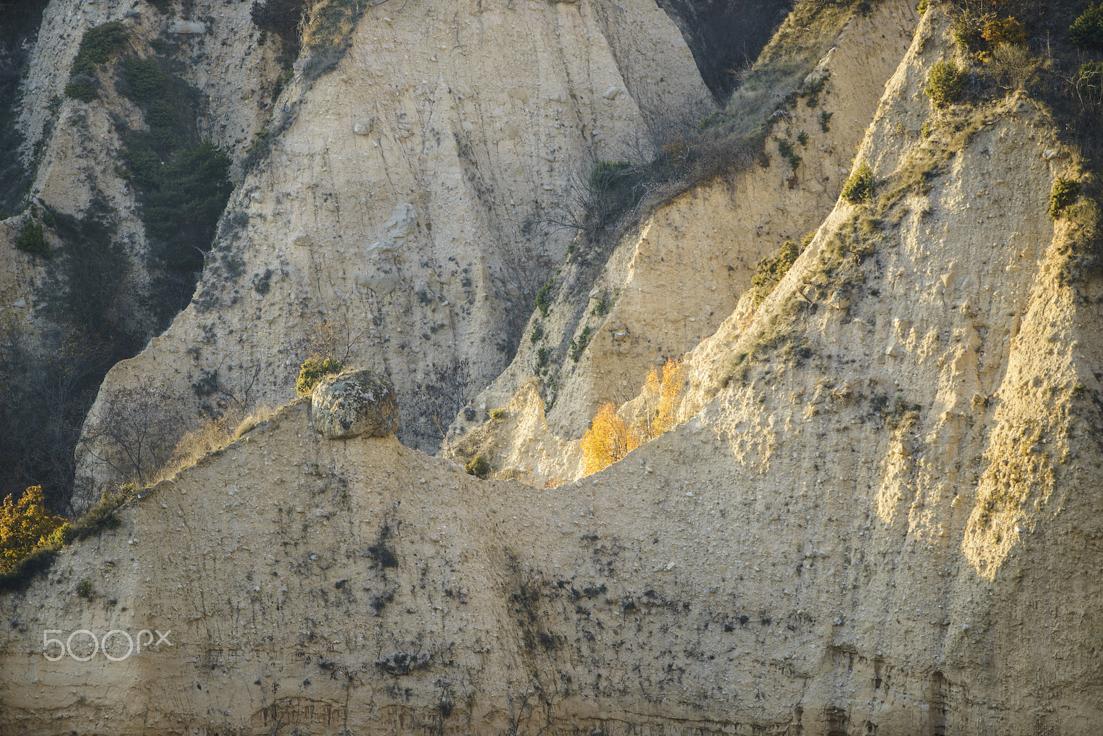 Canon EF 70-200mm F2.8L USM sample photo. Forms photography