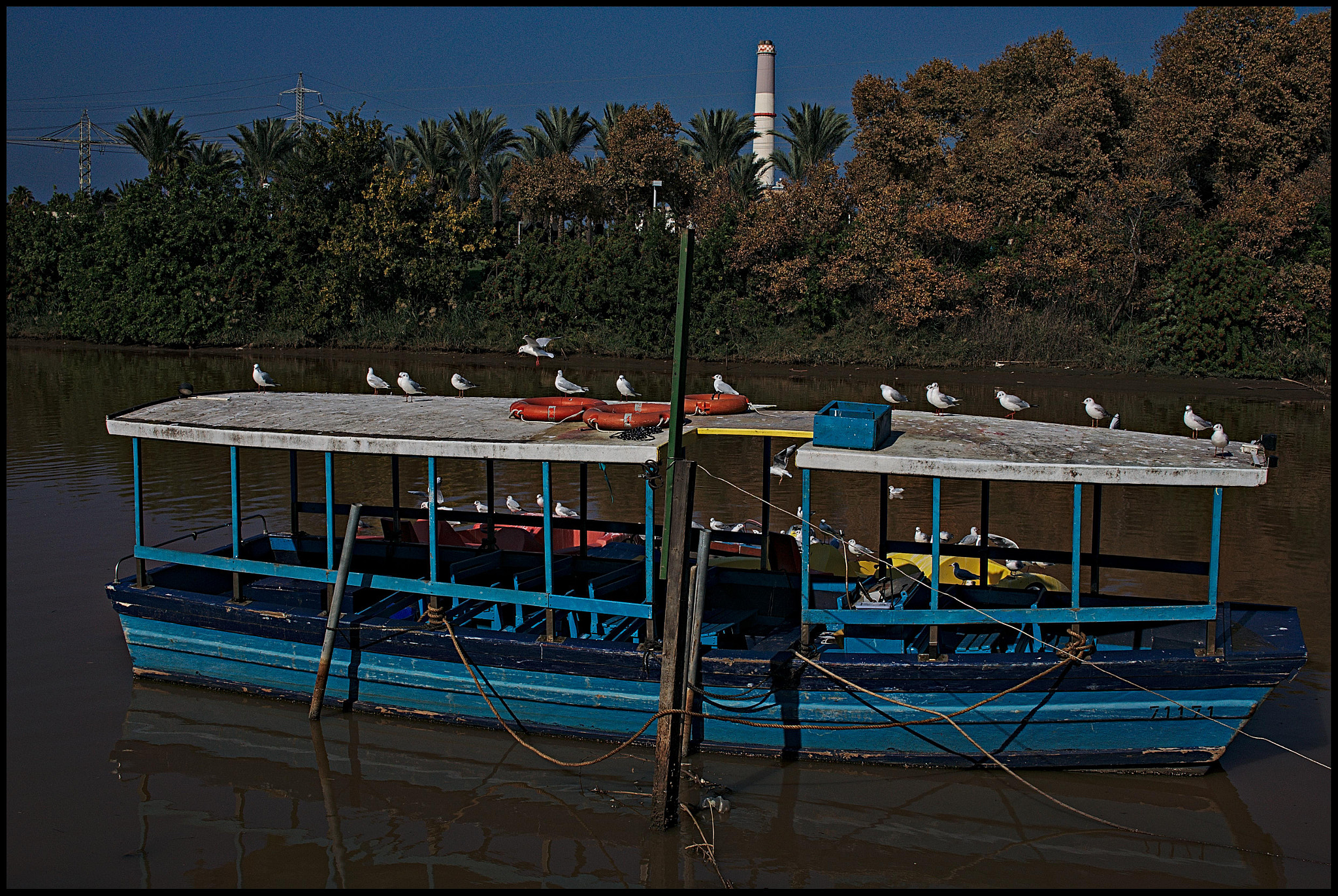 Sony Alpha NEX-5N + Sigma 30mm F2.8 EX DN sample photo. It's for the birds photography