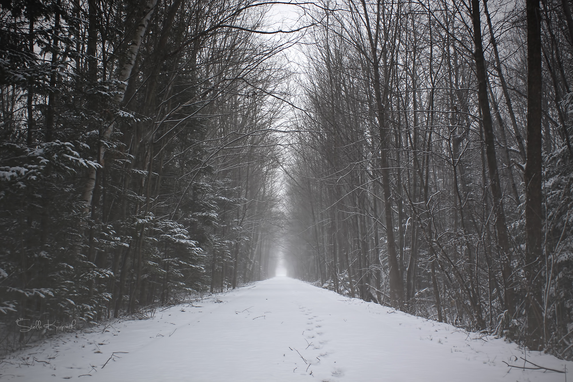 Canon EOS 50D + Canon EF 28-90mm f/4-5.6 USM sample photo. The path to winter photography