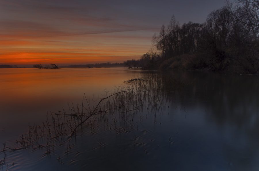 Pentax smc DA 15mm F4 ED AL Limited sample photo. December dawn photography