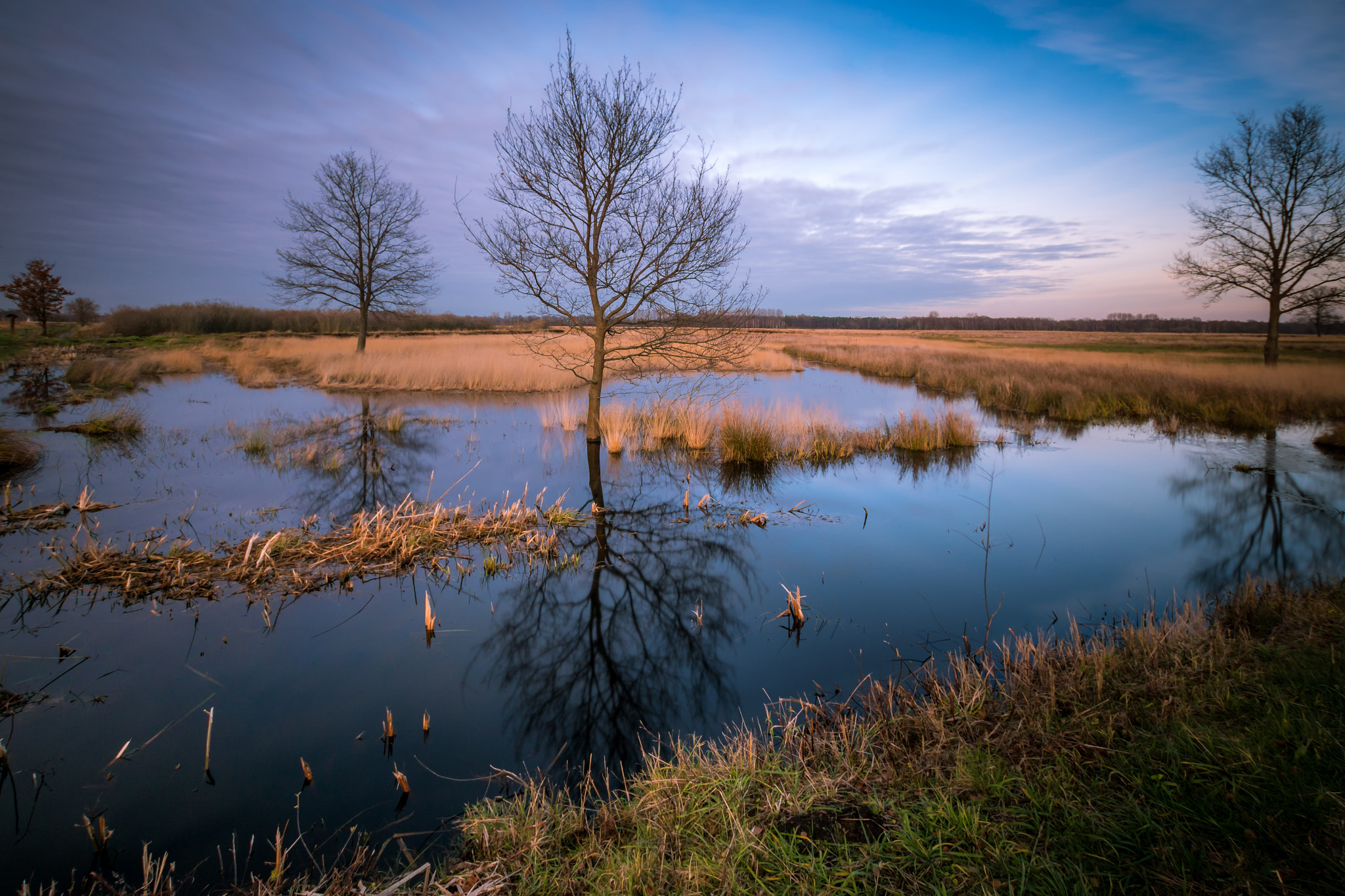 Sony ILCA-77M2 + Sigma 10-20mm F3.5 EX DC HSM sample photo. Winter bog after heavy rain photography