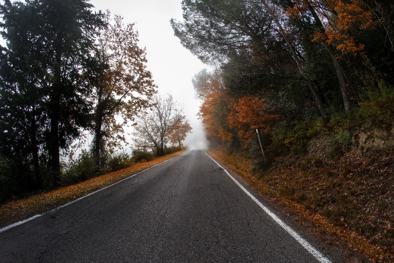 Samyang 8mm F3.5 Aspherical IF MC Fisheye sample photo. Empoli photography