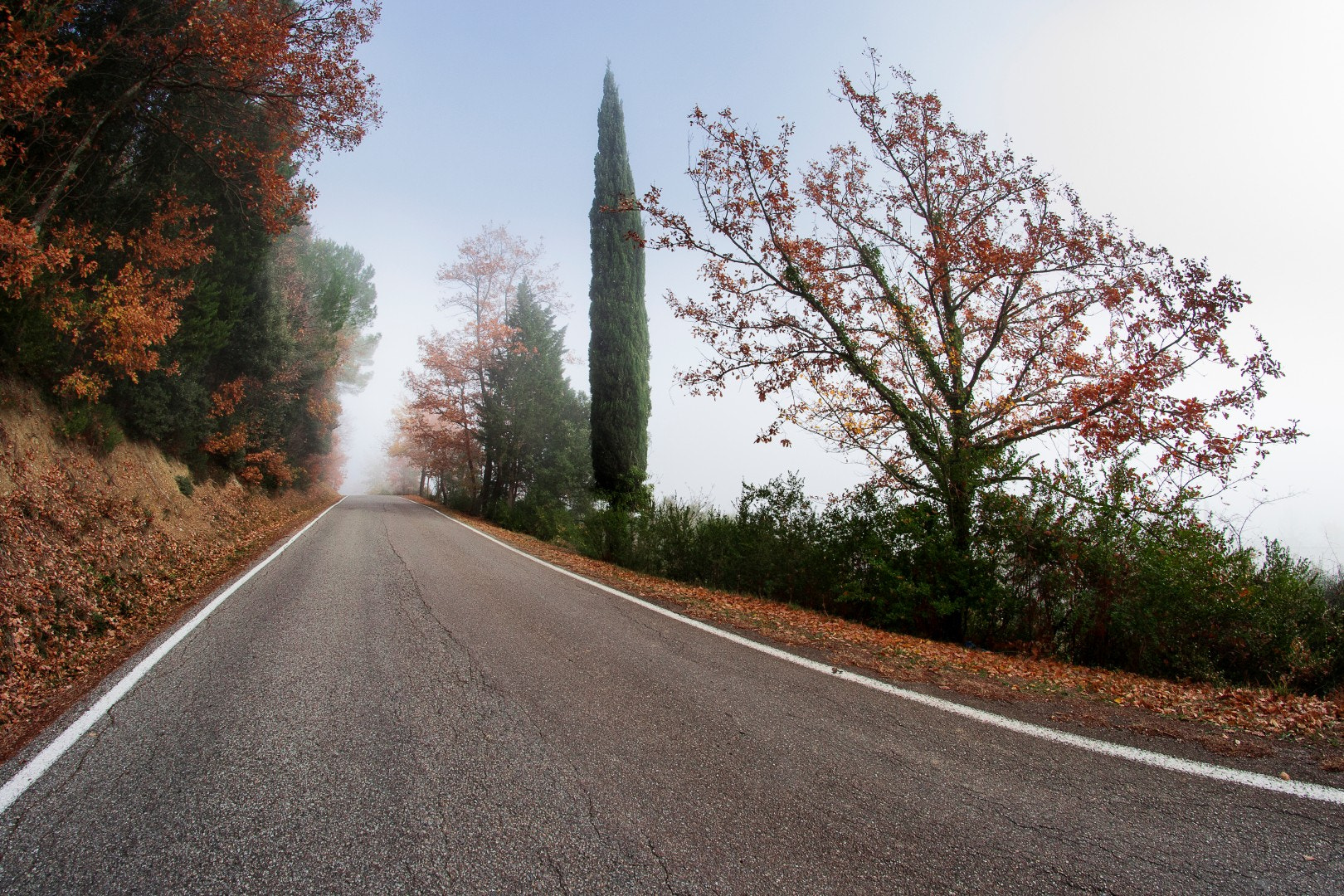 Samyang 8mm F3.5 Aspherical IF MC Fisheye sample photo. Montelupo photography
