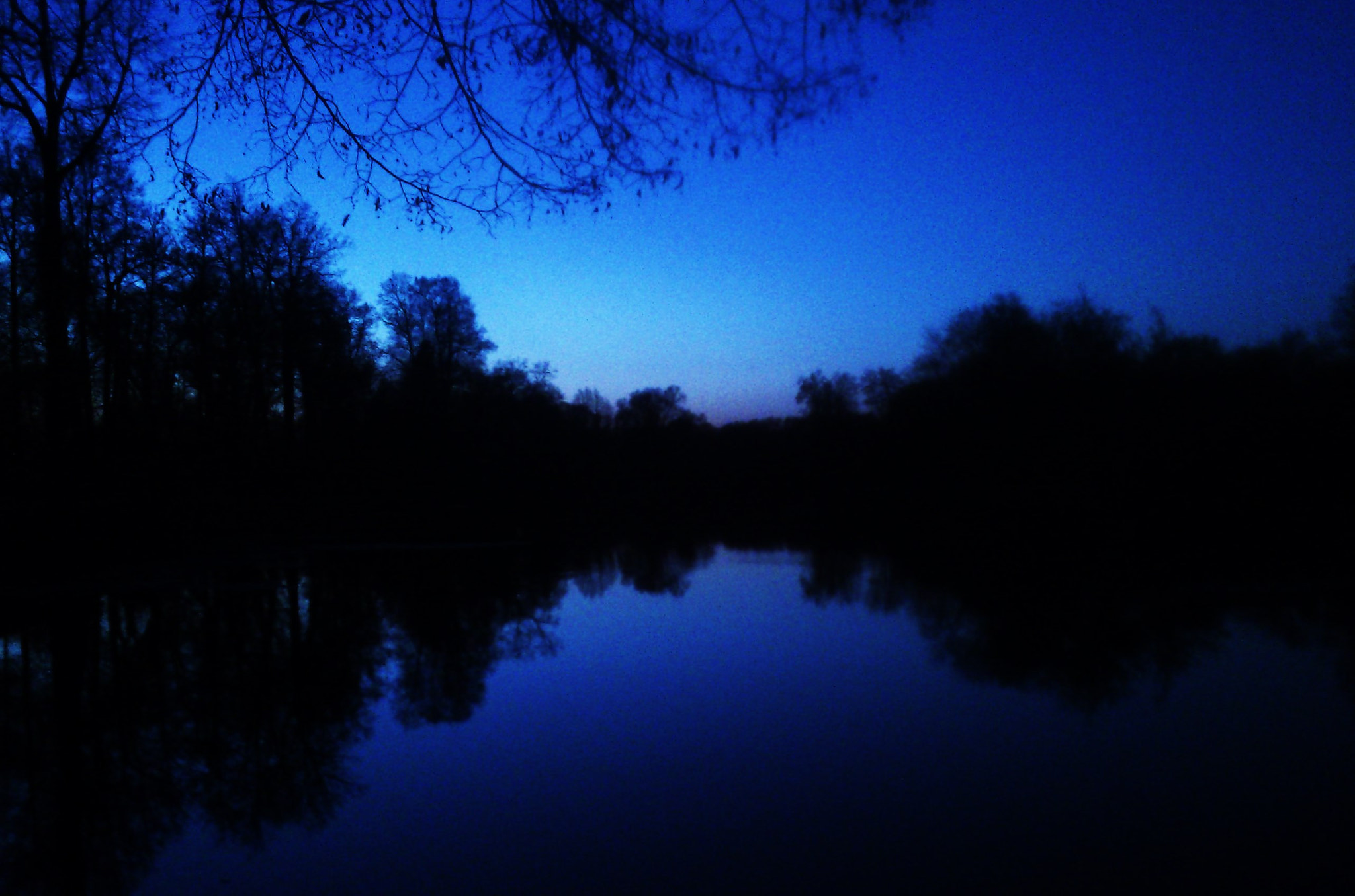 Sony Ericsson Live with Walkman sample photo. Evening in autumn. photography