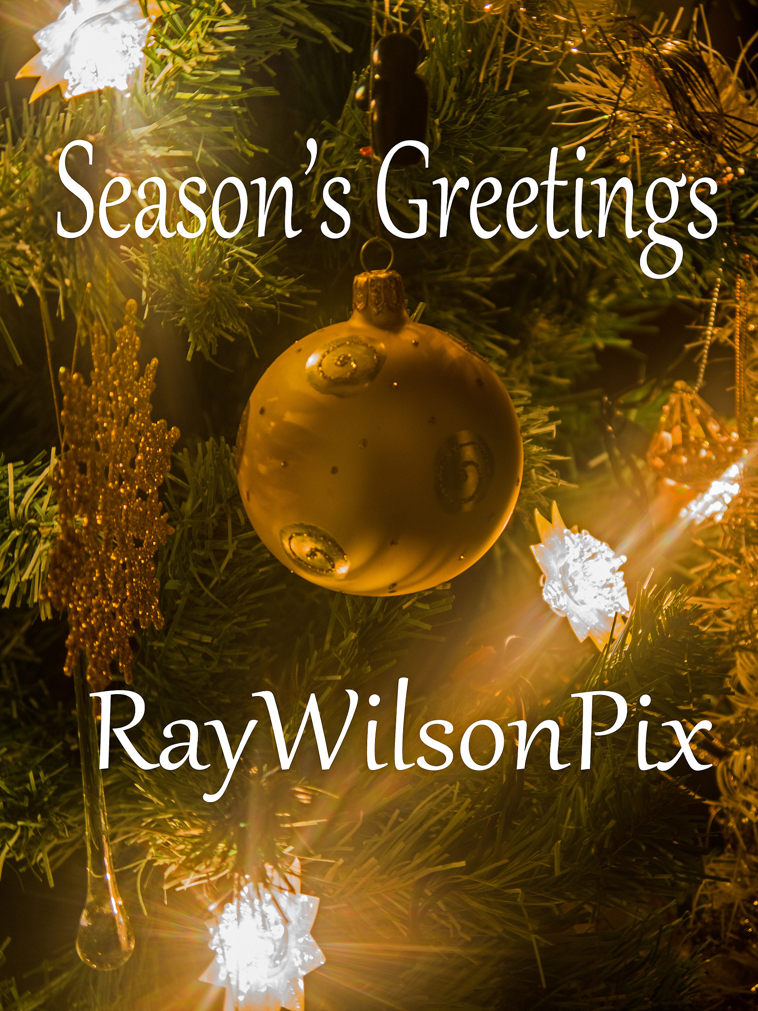 Olympus OM-D E-M5 sample photo. Season's greetings photography