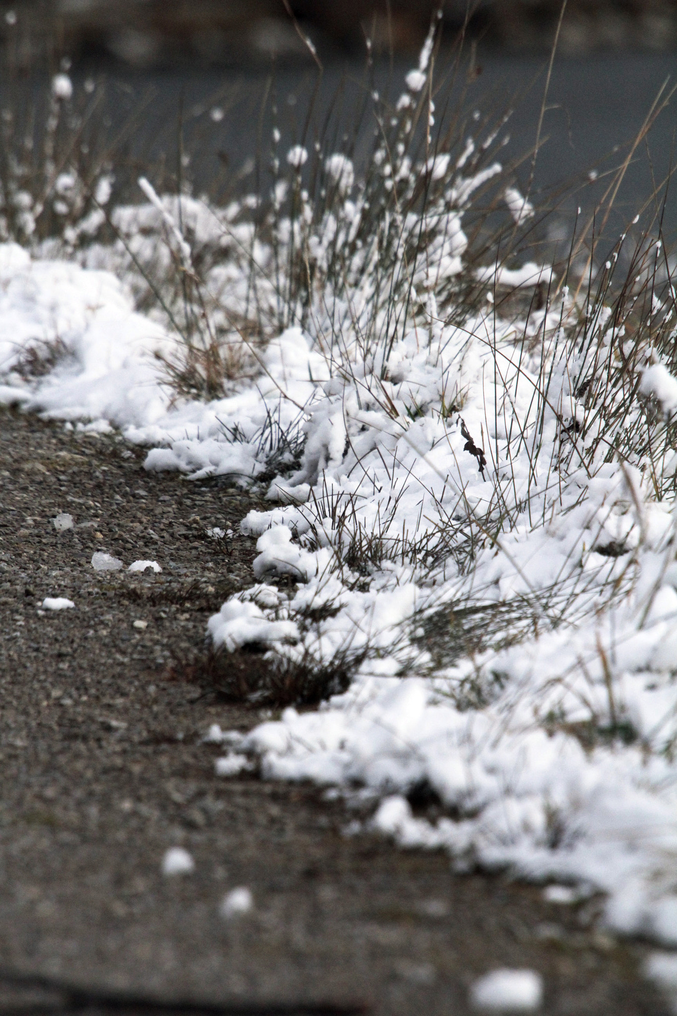 Sigma 50-500mm f/4-6.3 APO HSM EX sample photo. Snow beside the path photography