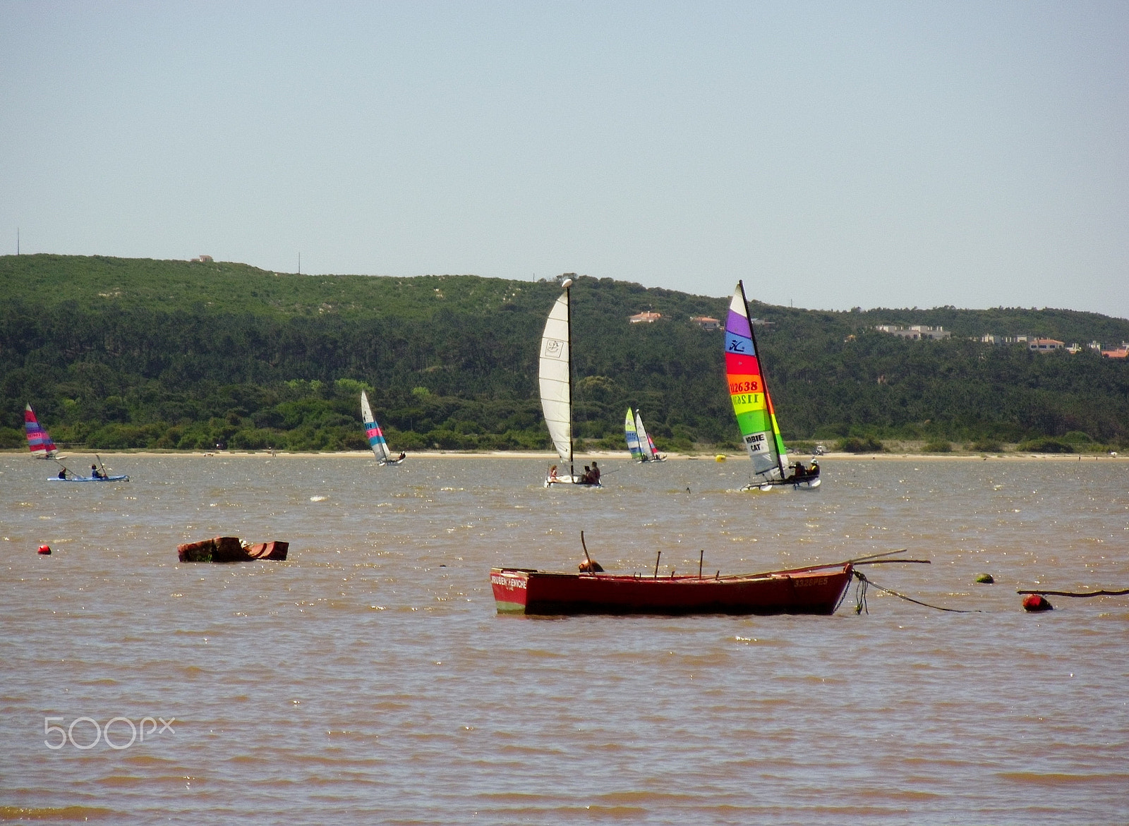 Samsung PL200/VLUU PL200 sample photo. Regatta's feelings take over... photography