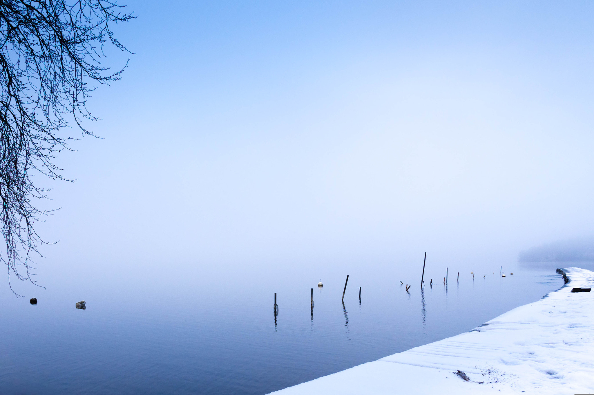 OLYMPUS M.12mm F2.0 Ltd Blk sample photo. Cold misty morning. photography