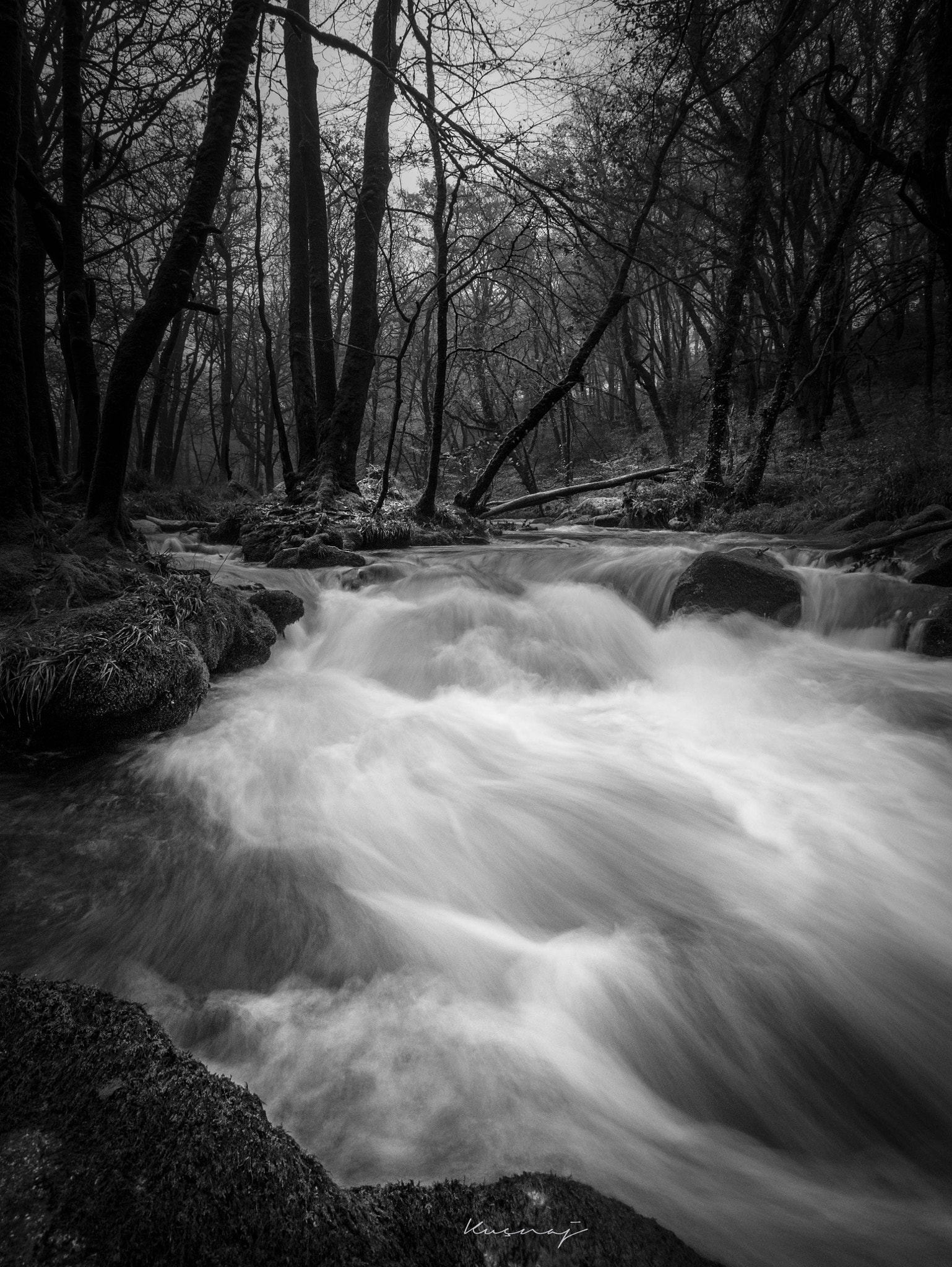 Panasonic Lumix DMC-GX7 + OLYMPUS M.9-18mm F4.0-5.6 sample photo. B&w photography