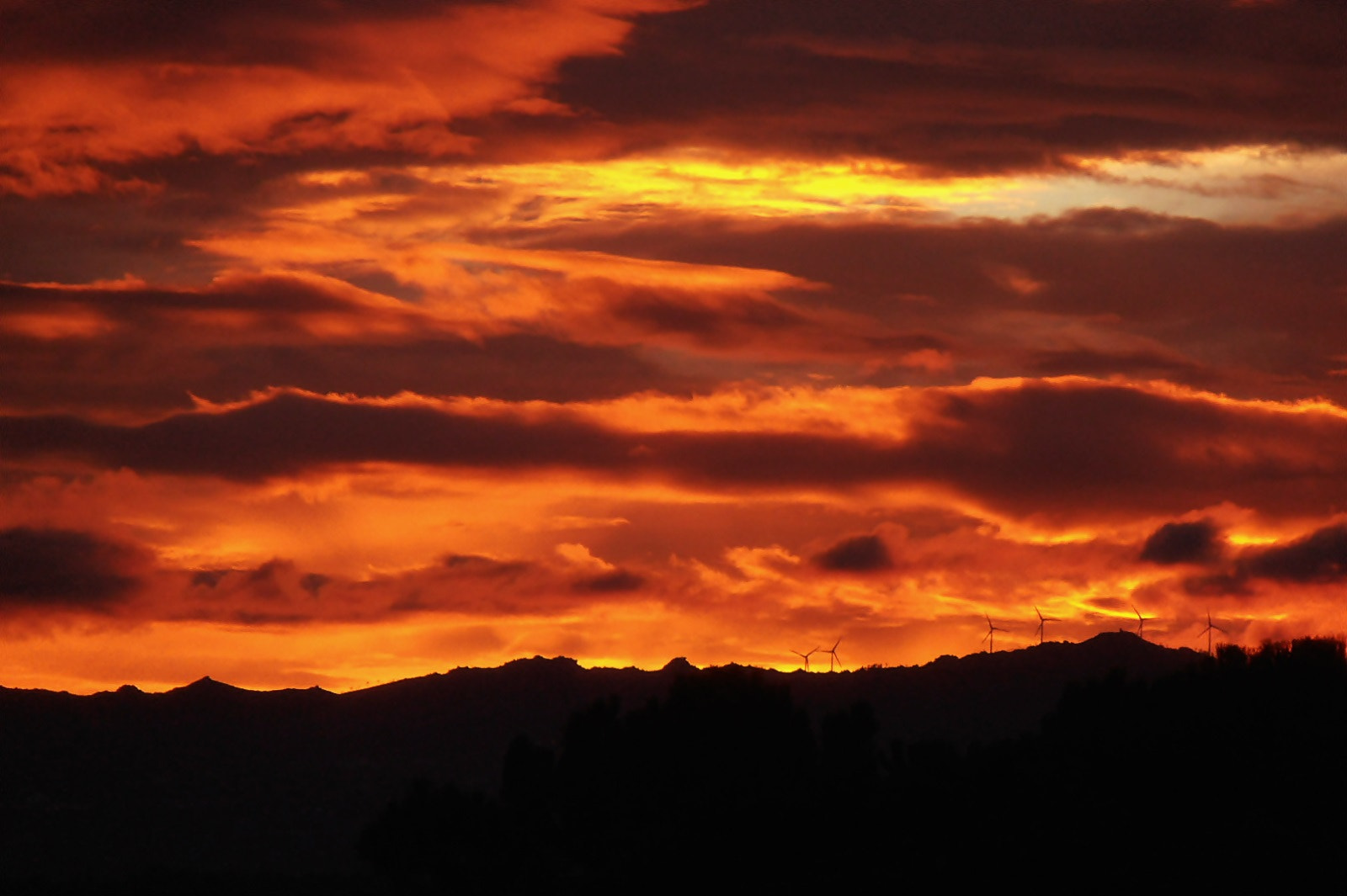 Olympus VR325,VR320,D725 sample photo. Fire in the sky photography