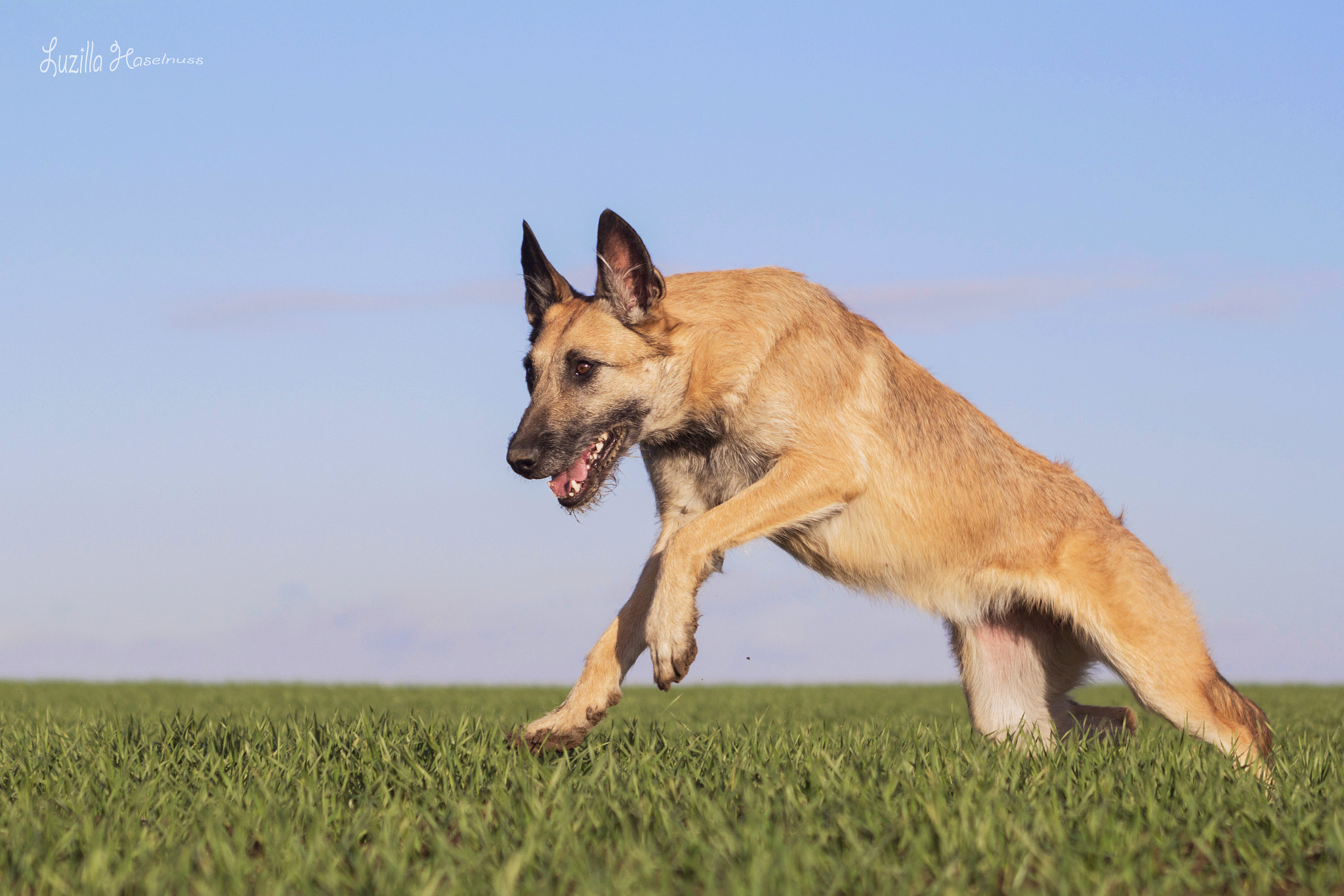 Canon EOS 60D + Canon EF 70-210mm f/3.5-4.5 USM sample photo