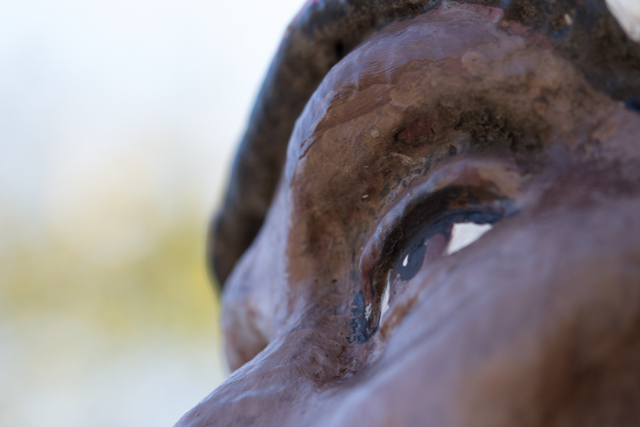 Sigma 105mm F2.8 EX DG OS HSM sample photo. Gaze photography
