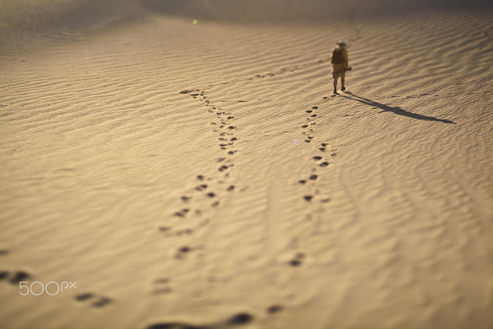 Canon EOS 5D Mark II + Canon TS-E 45mm F2.8 Tilt-Shift sample photo. An explorer photography