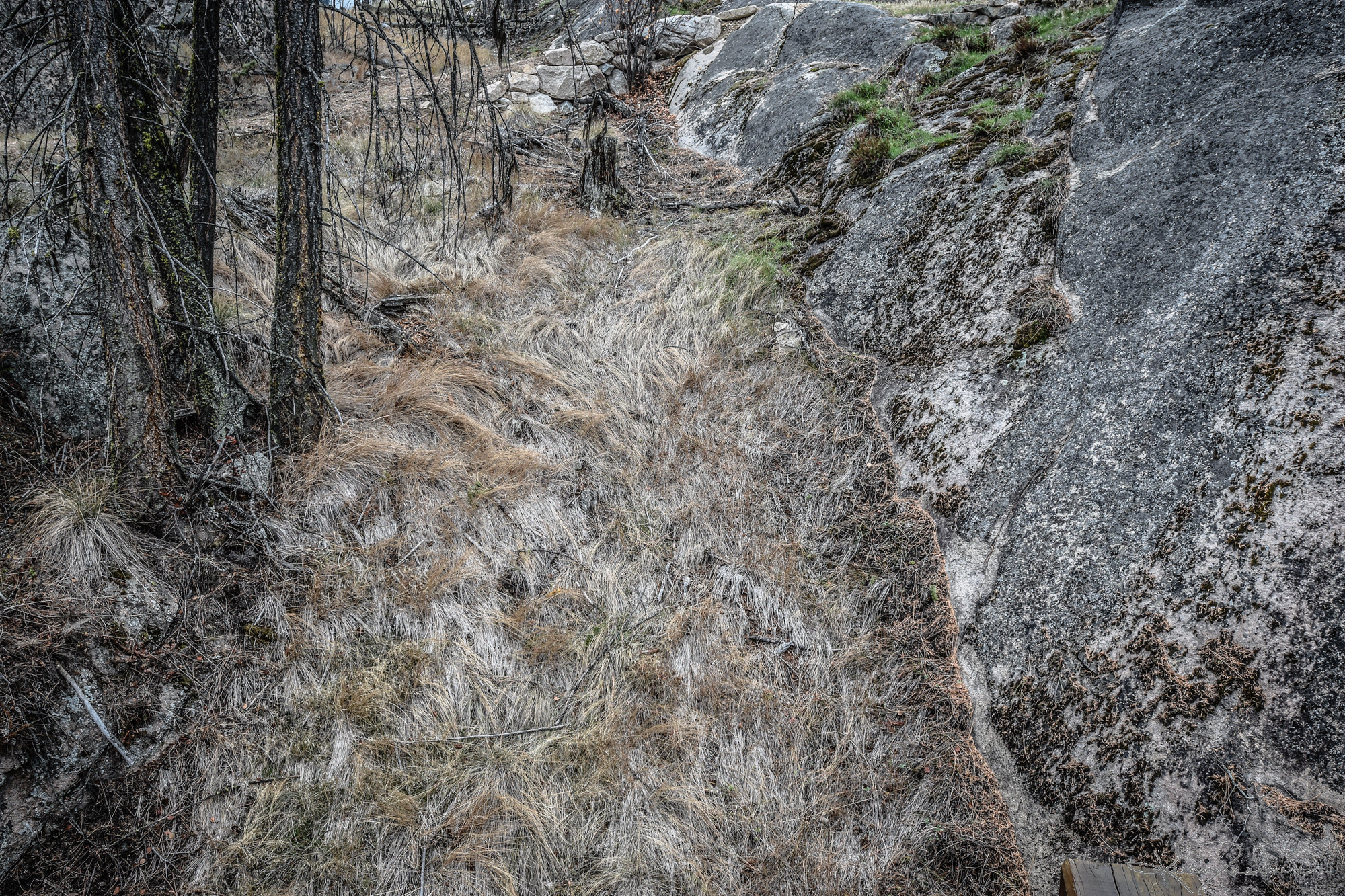 Nikon AF-S Nikkor 17-35mm F2.8D ED-IF sample photo. Grassy river photography