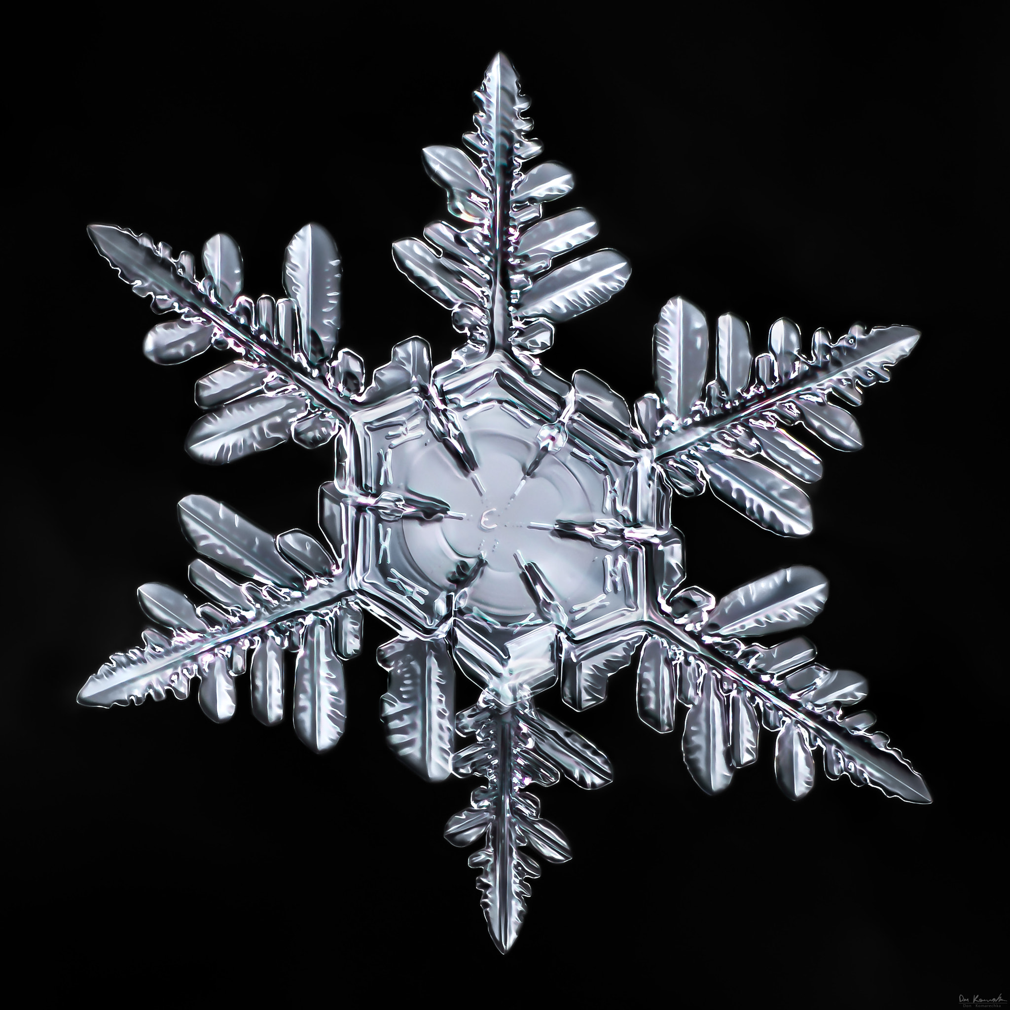 Canon MP-E 65mm F2.5 1-5x Macro Photo sample photo. Snowflake-a-day #20 photography