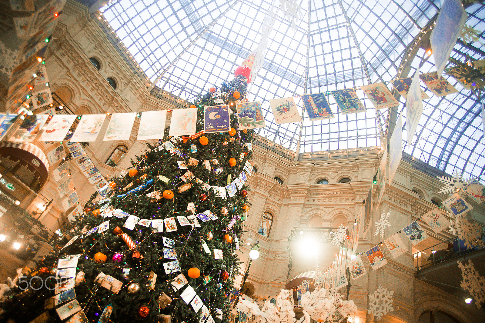 Canon EF 24-85mm F3.5-4.5 USM sample photo. Christmas tree photography