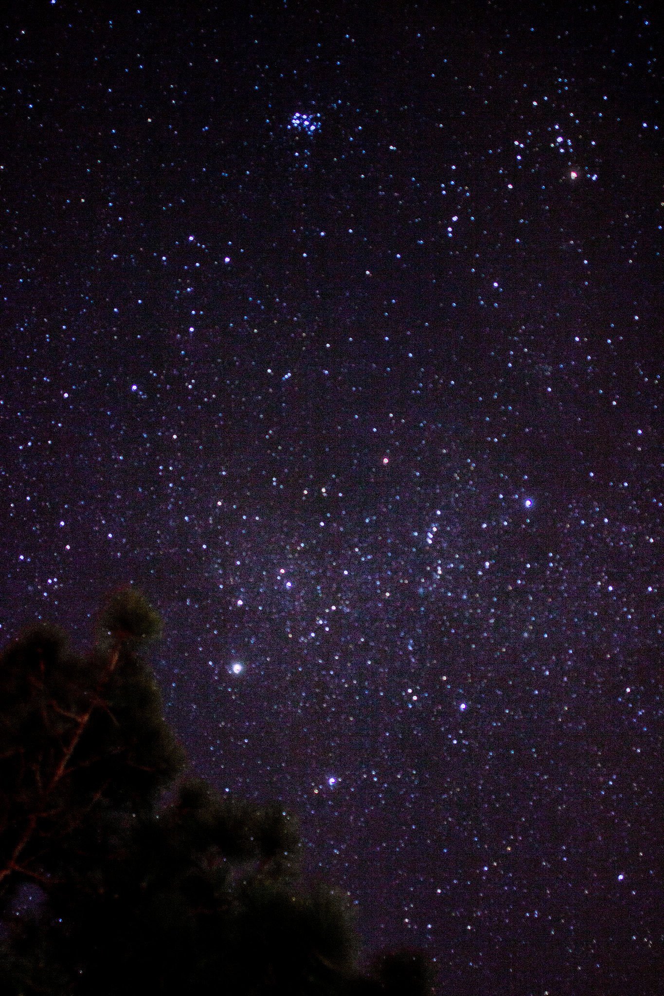 Canon EOS 600D (Rebel EOS T3i / EOS Kiss X5) + Canon EF 24mm F2.8 IS USM sample photo. Stars photography