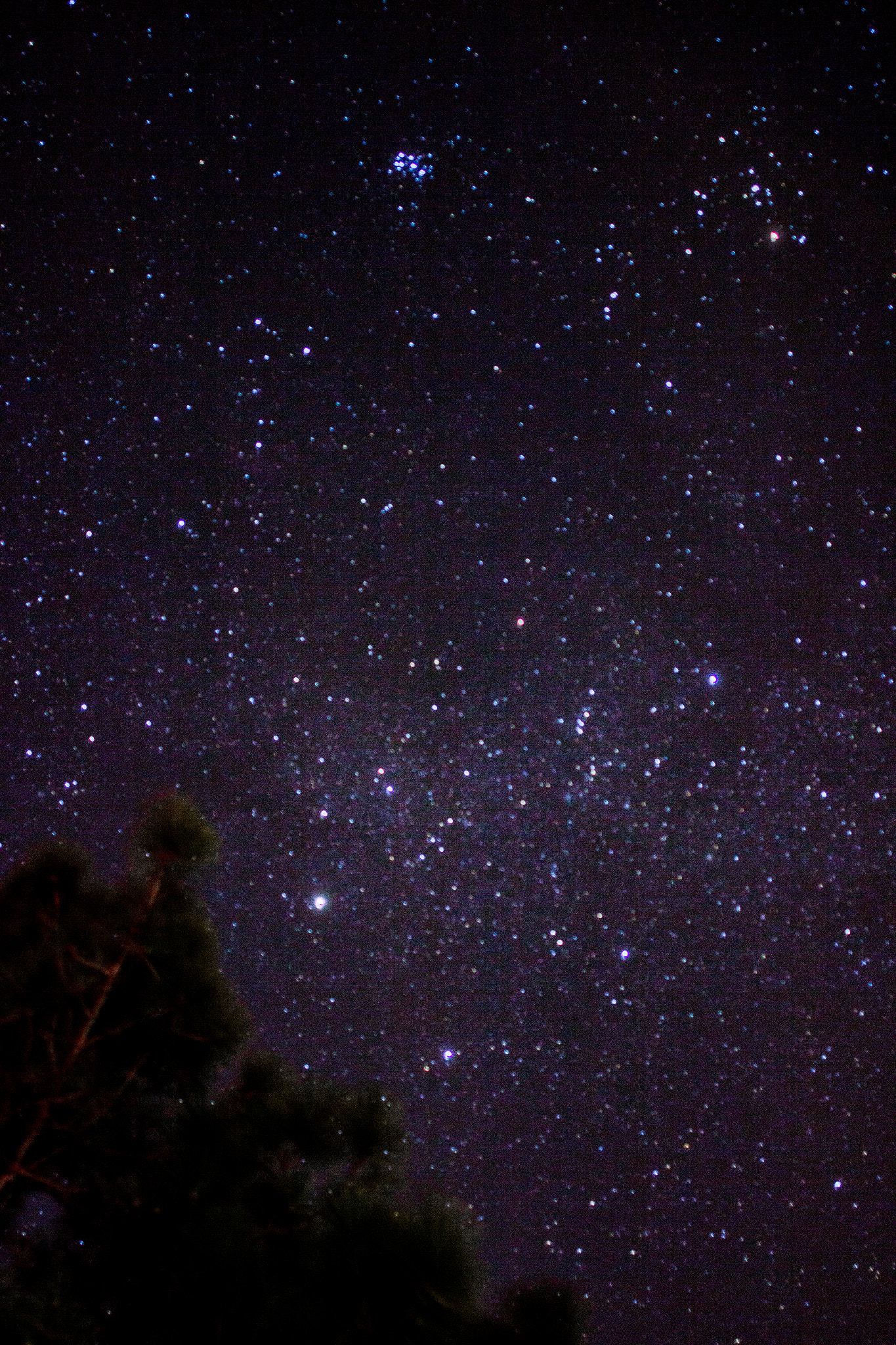 Canon EF 24mm F2.8 IS USM sample photo. Stars photography