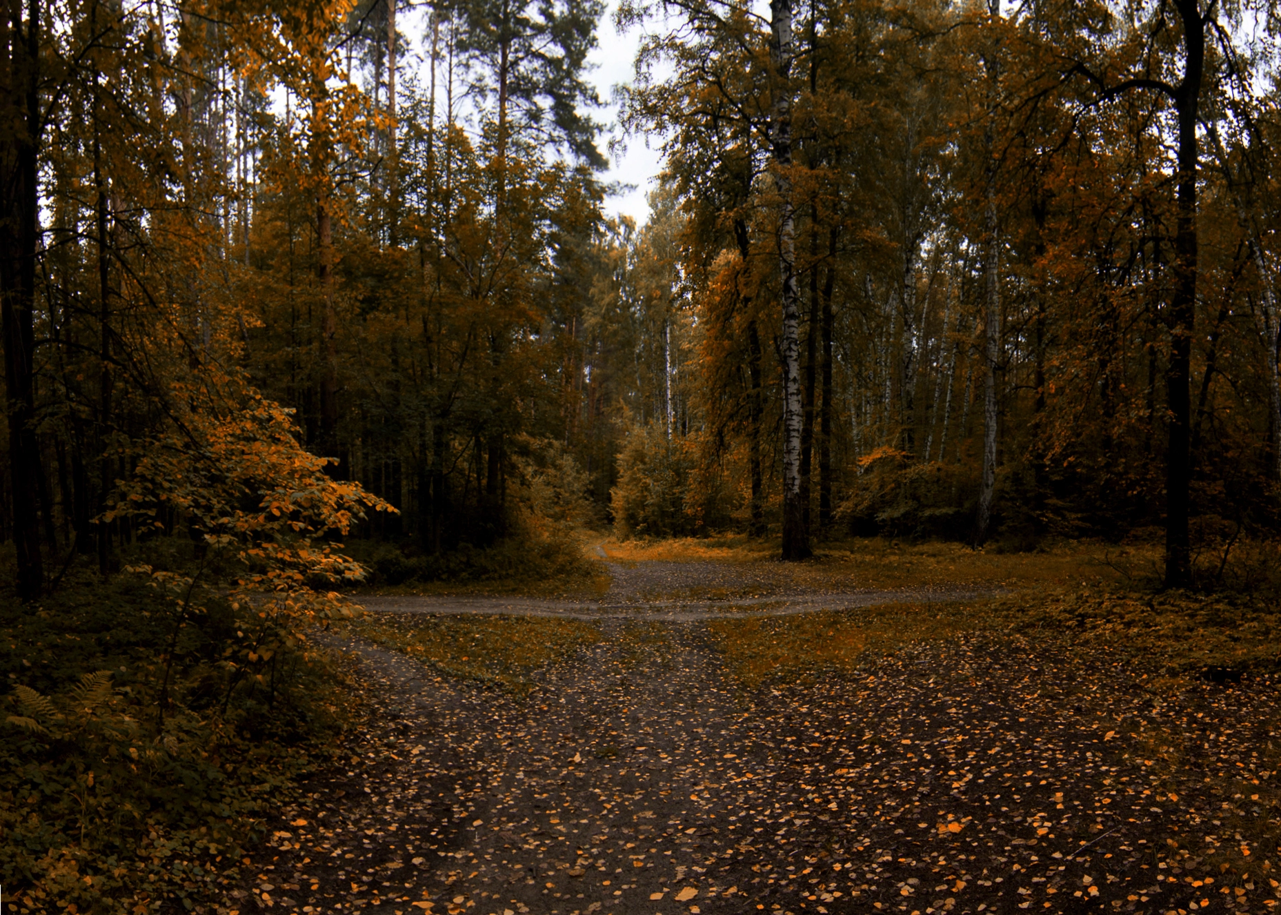 Tokina AT-X Pro 12-24mm F4 (IF) DX sample photo. Перекресток photography