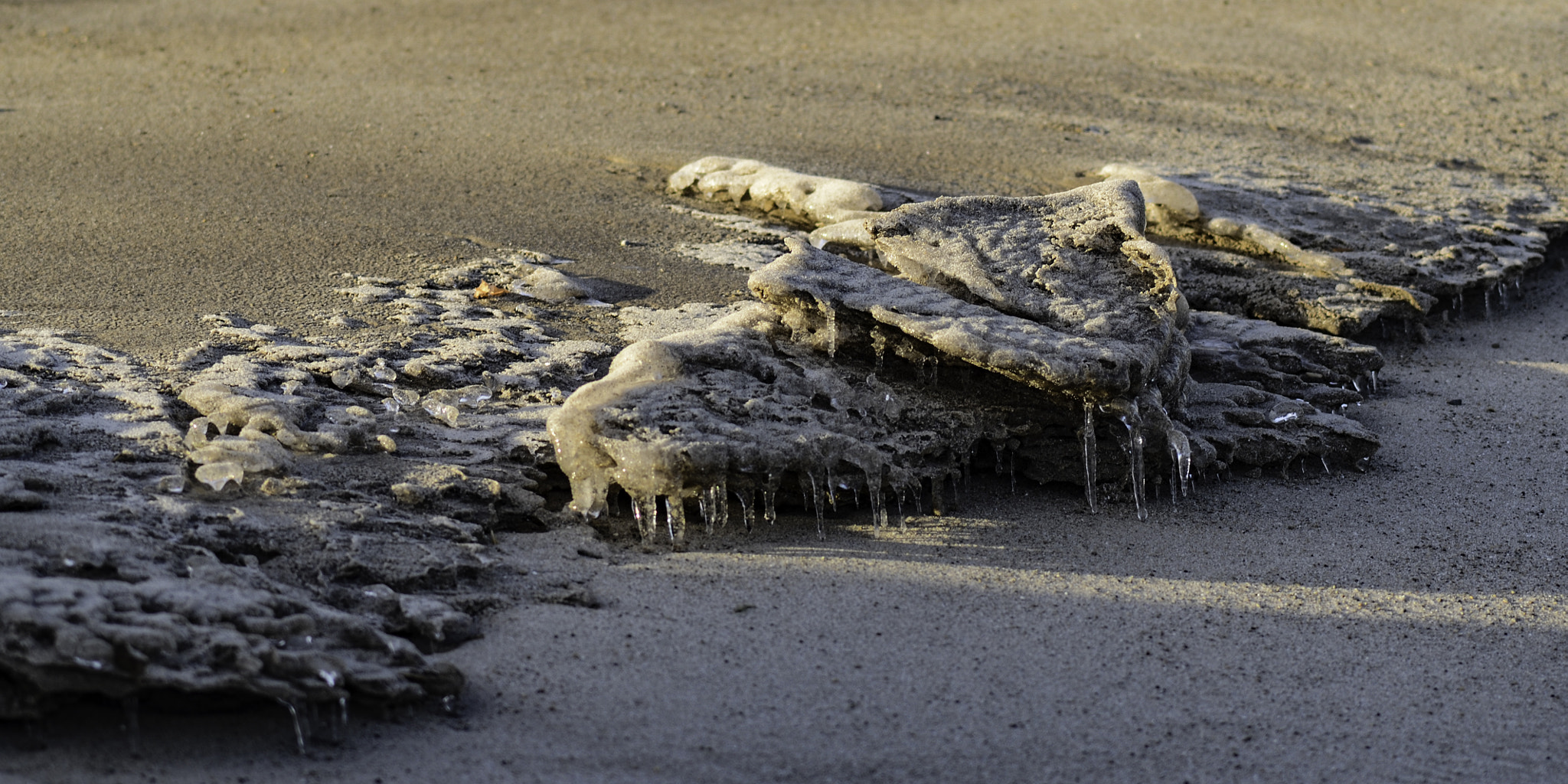 Nikon D7000 + AF Micro-Nikkor 105mm f/2.8 sample photo. Iced beach photography