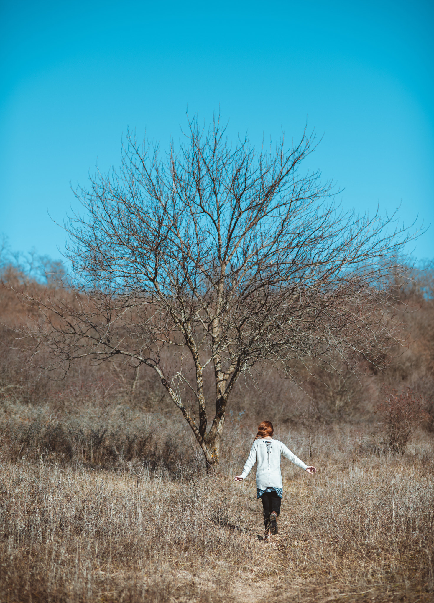 Nikon D800E + Nikon AF Nikkor 85mm F1.8D sample photo. ... photography