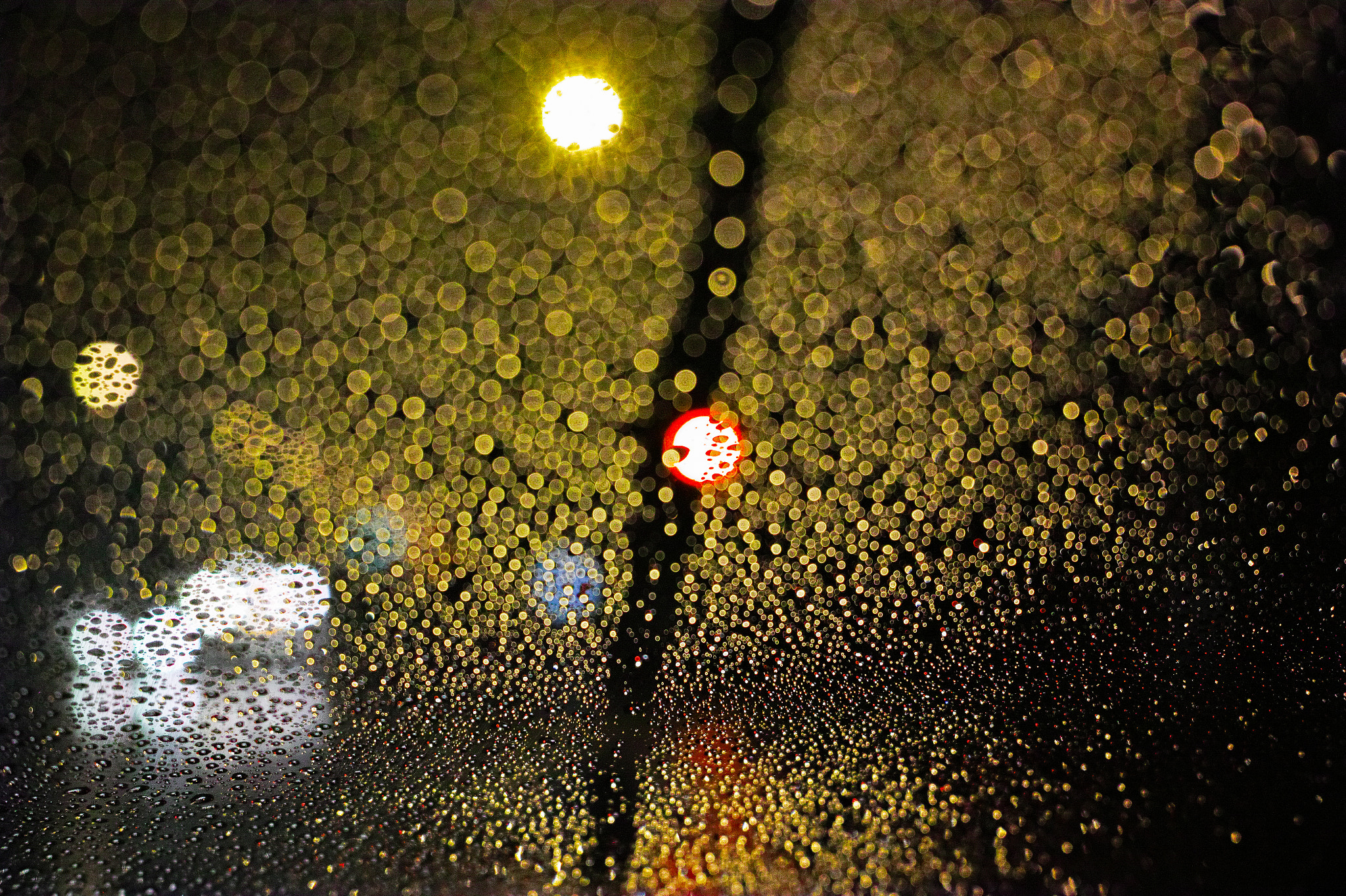 1007 sample photo. Rain bokeh photography