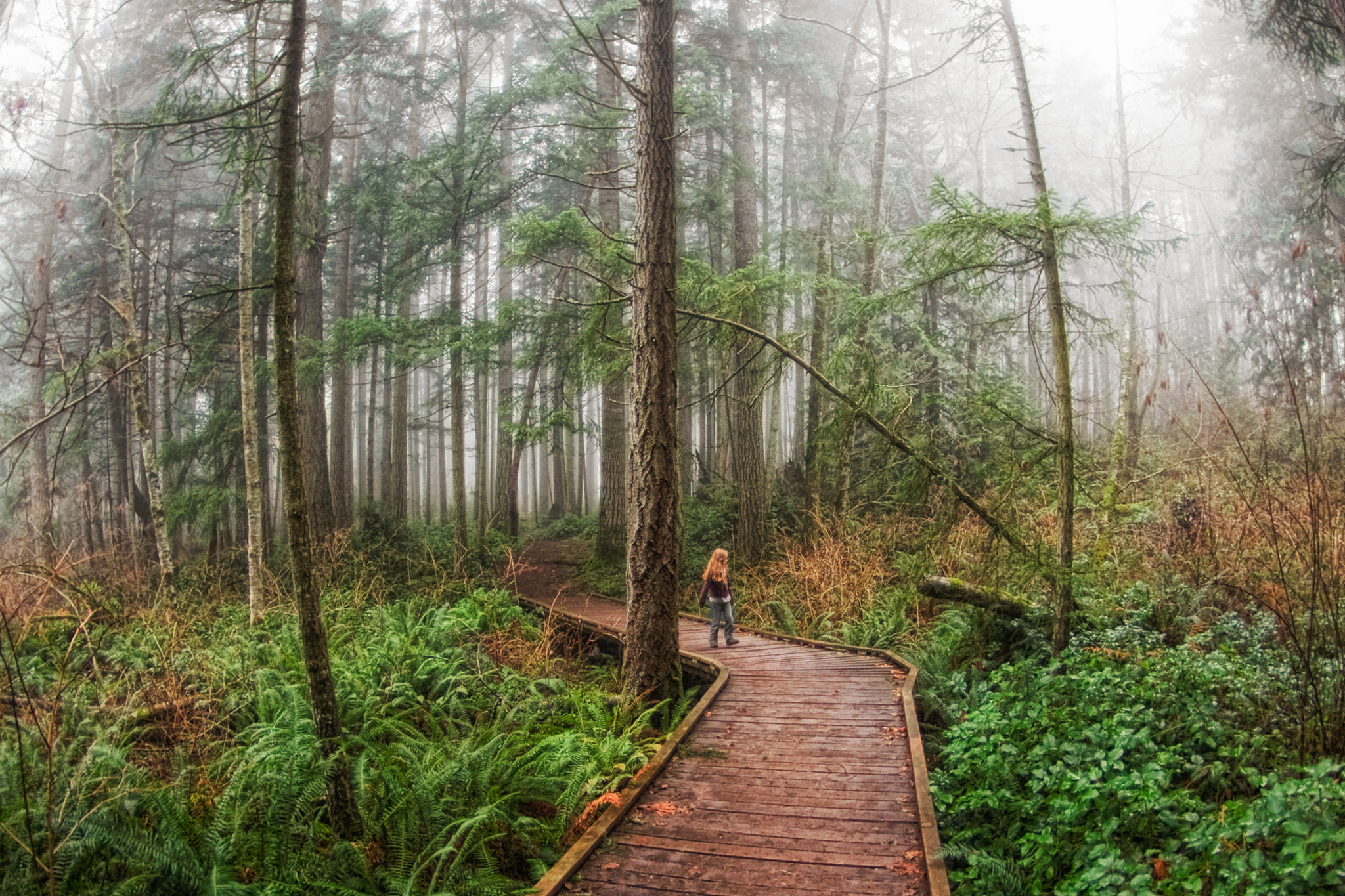 Pentax K-x sample photo. Forest wonderland photography