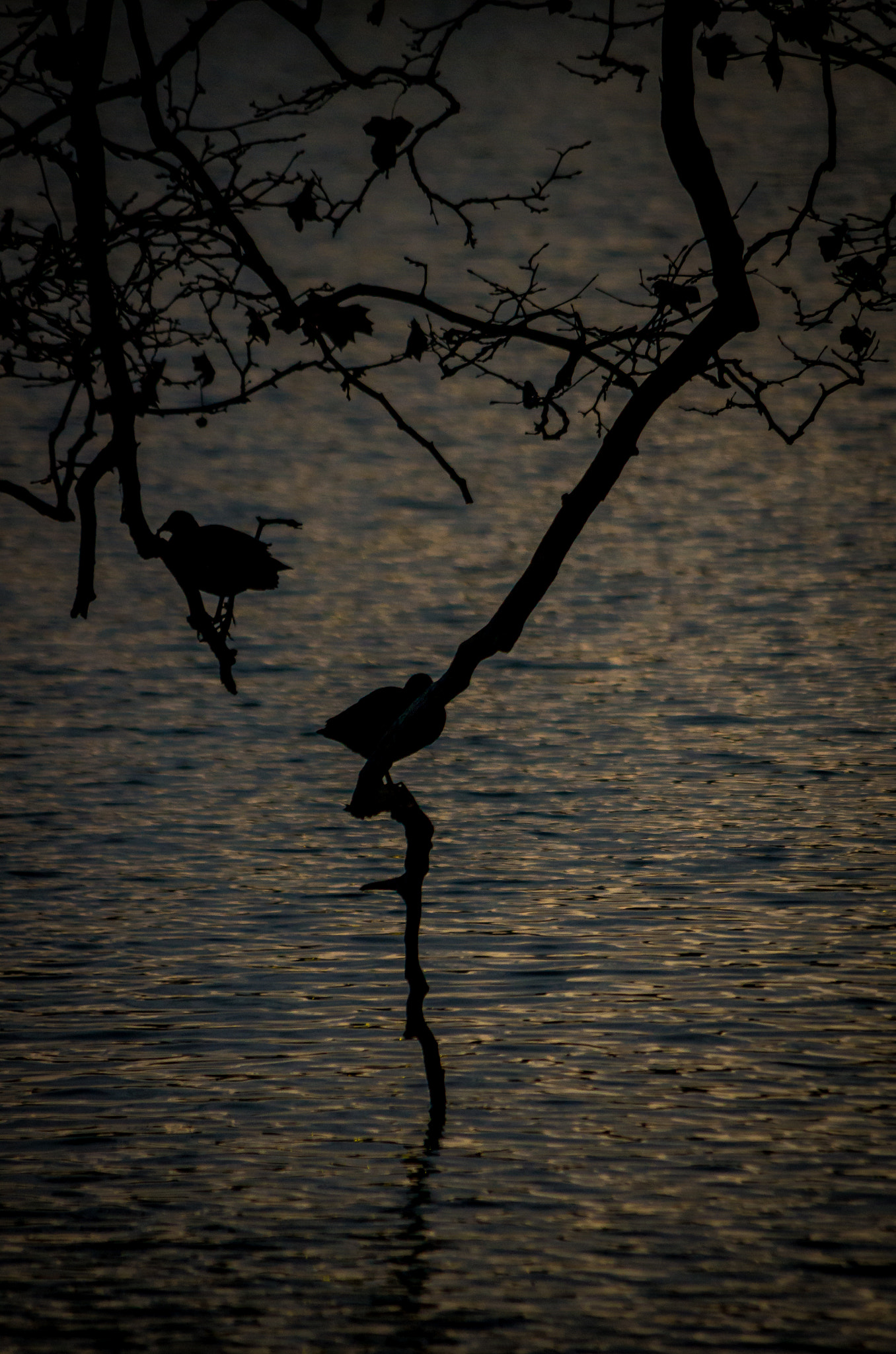 Pentax smc DA 55-300mm F4.0-5.8 ED sample photo. Time to sleep photography