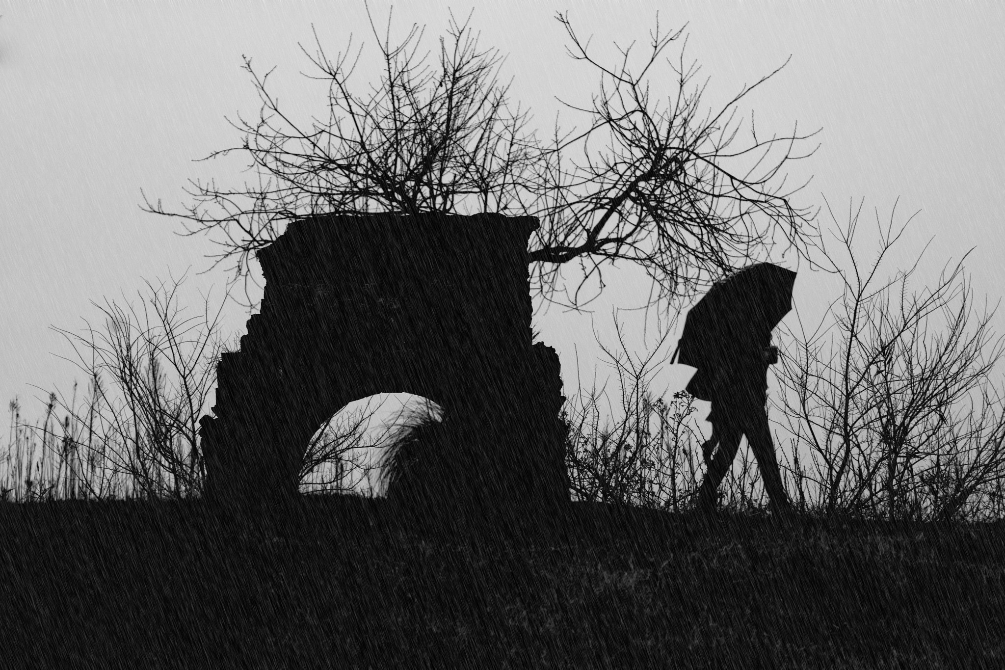 Pentax smc DA 55-300mm F4.0-5.8 ED sample photo. Walking in the rain photography