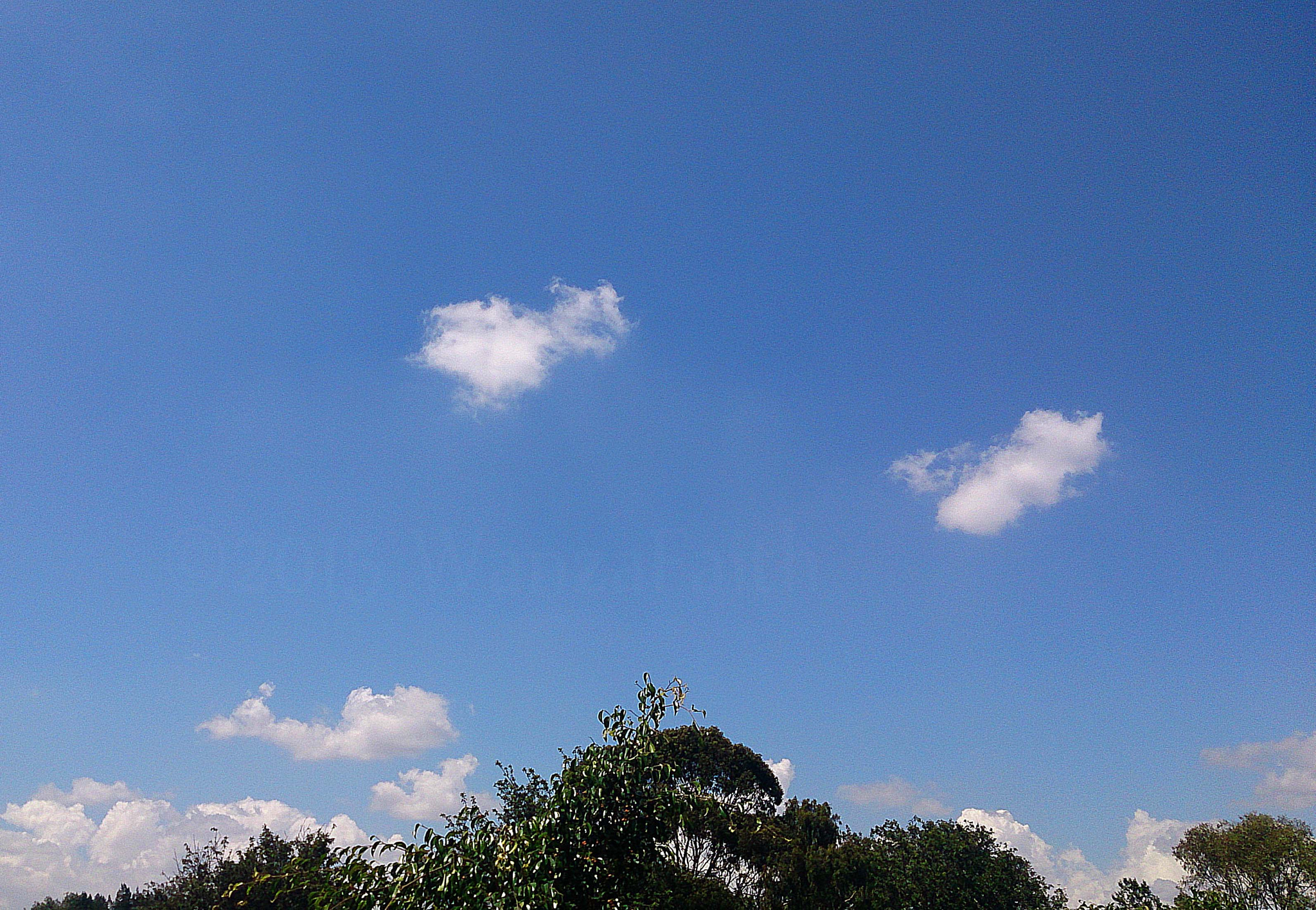 Sony Xperia ZR sample photo. Clear summer skies photography