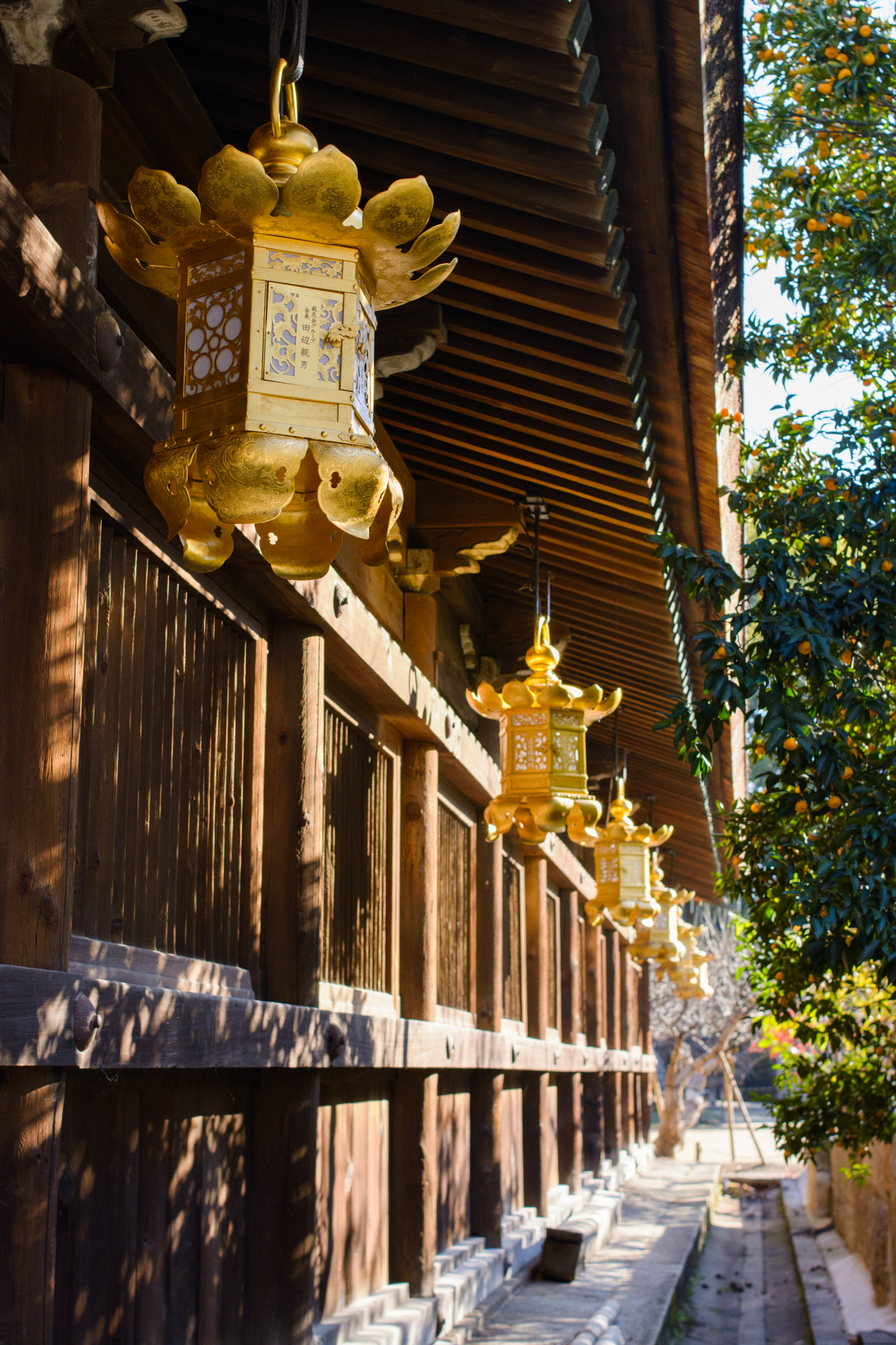 Nikon D7100 + Nikon AF Nikkor 35mm F2D sample photo. Golden lanterns photography