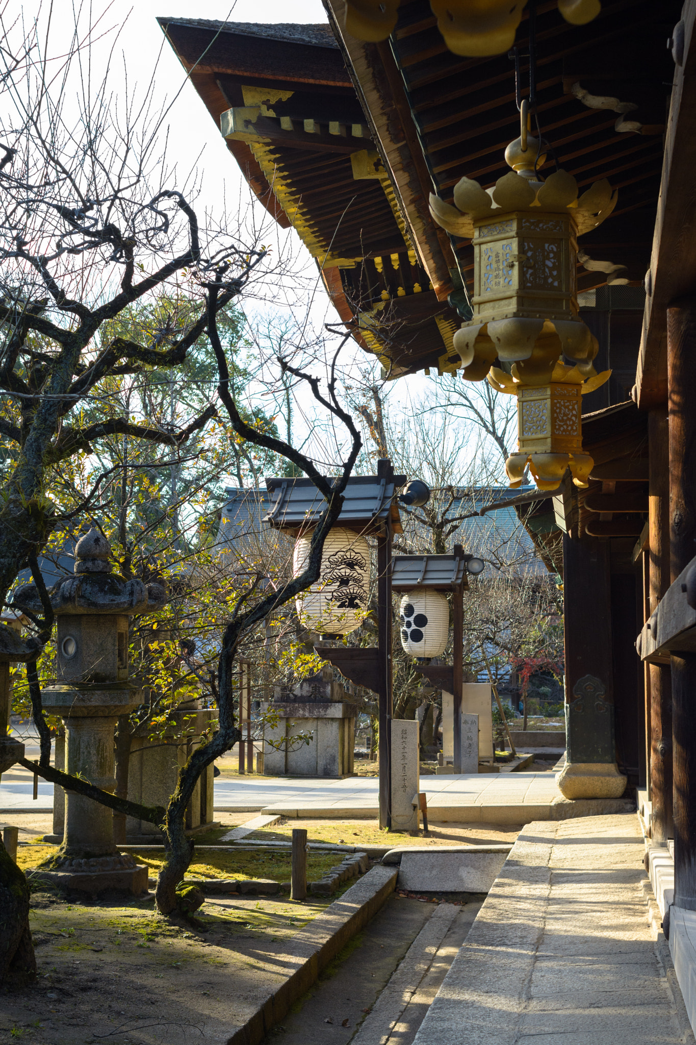 Nikon D7100 + Nikon AF Nikkor 35mm F2D sample photo. ... photography